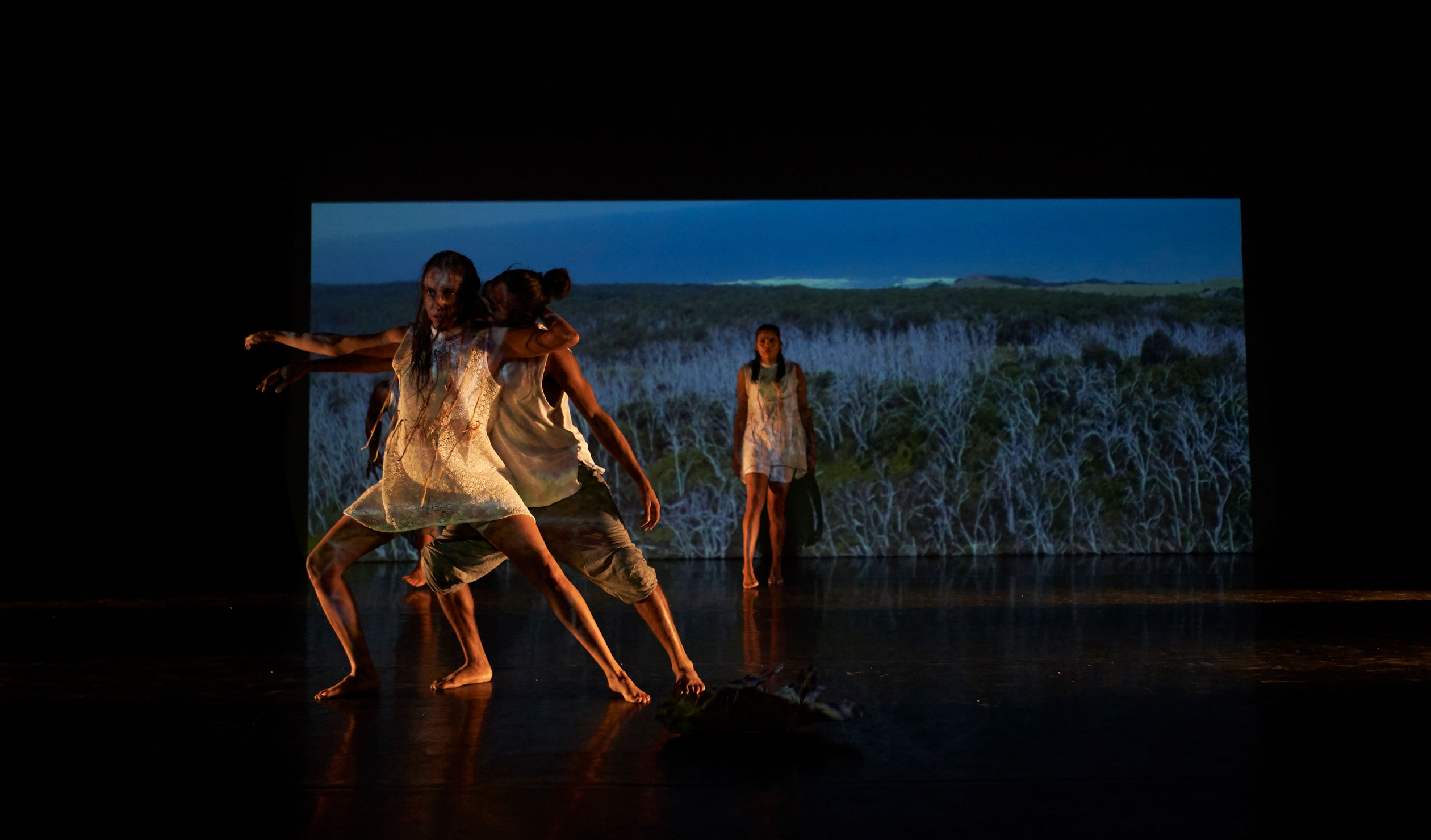 Thumbnail for Dance review: Convergence