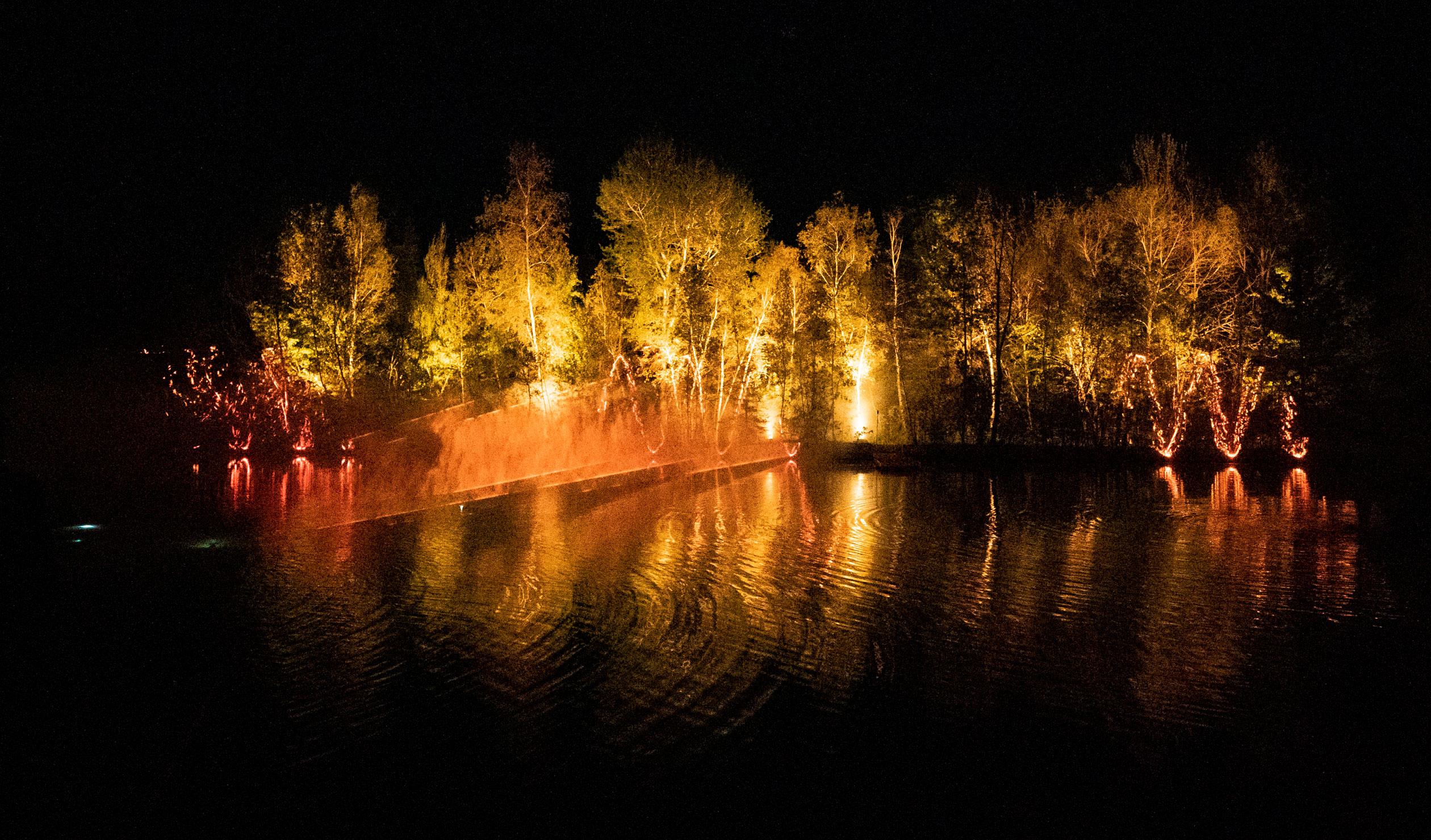 A Moment Factory image of testing in Canada for the Light Cycles experience to be presented in Adelaide Botanic Garden. Photo: supplied