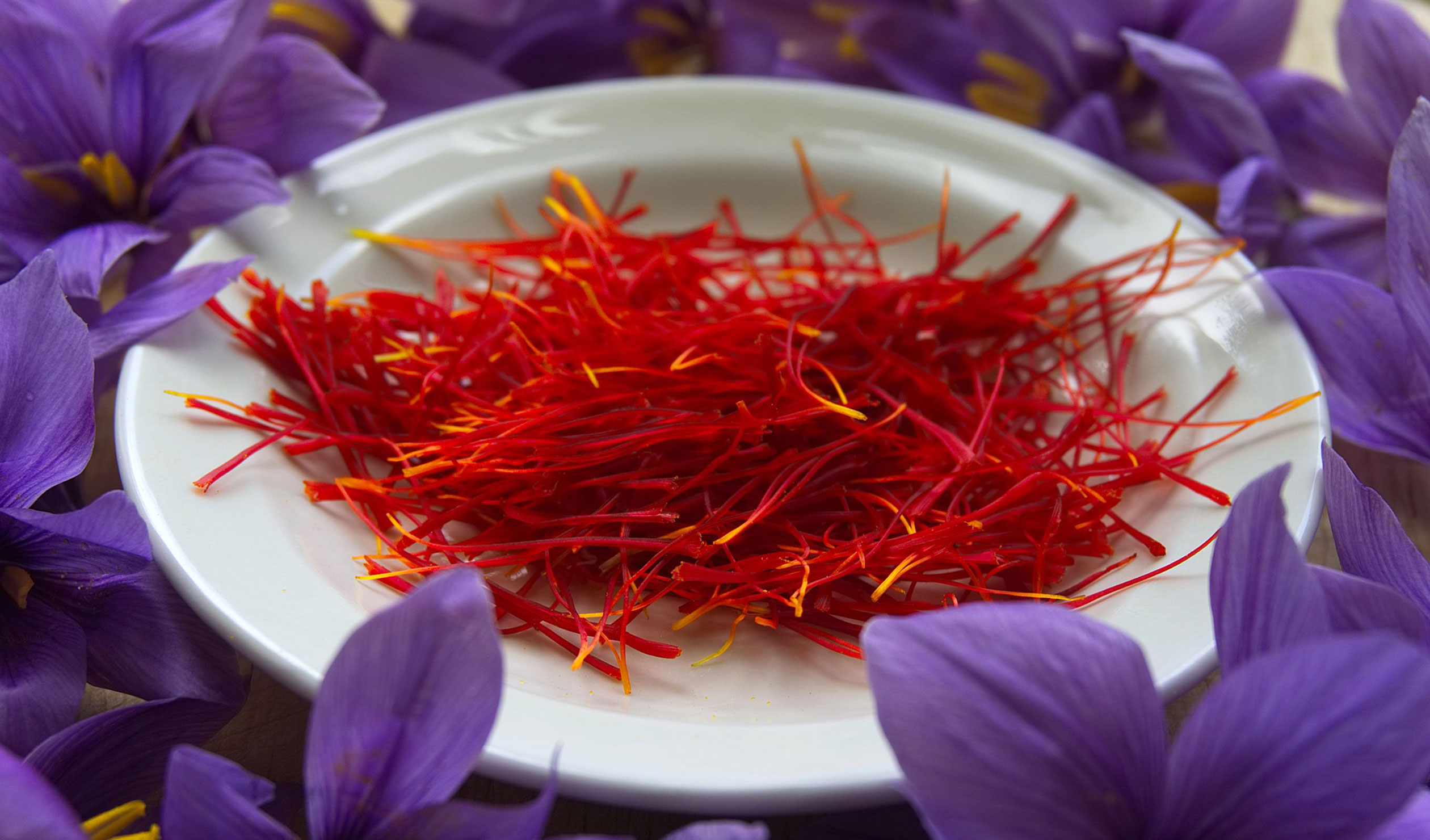 Thumbnail for Poems: Milk soaked saffron & Rubies
