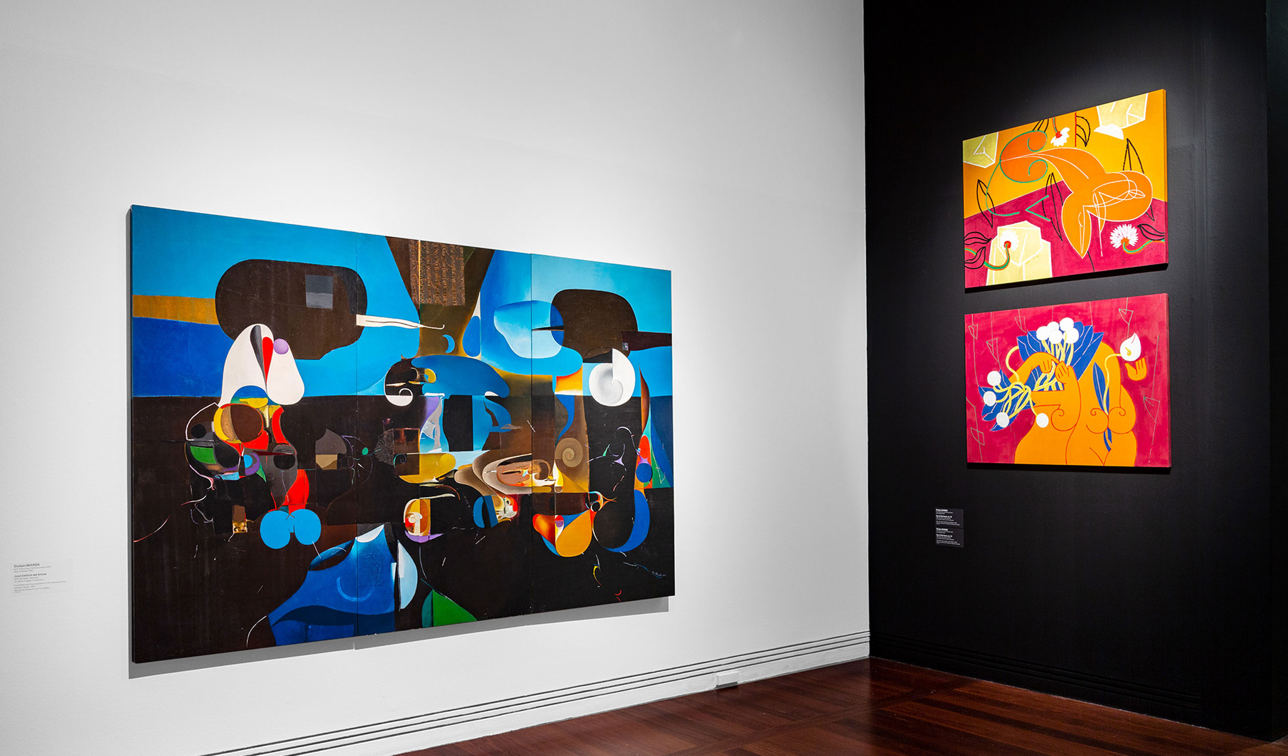 Installation view: Dusan and Voitre Marek: 'Surrealists at sea', featuring Dusan Marek's 'Just before we know', 'Eye of the heart, no. 13' and 'Eye of the heart, no. 12'; Art Gallery of SA. Photo: Saul Steed