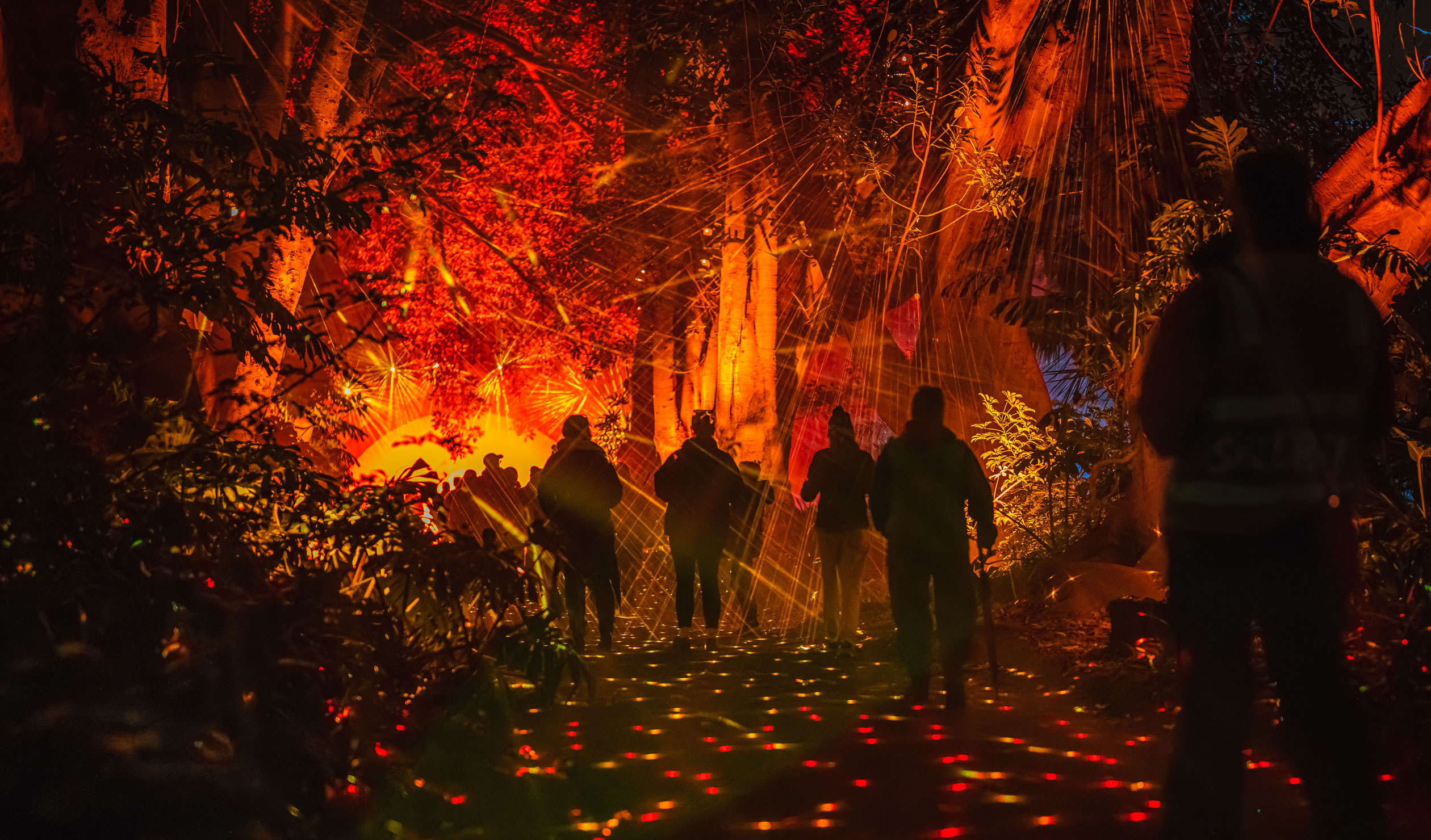 Light Cycles illuminates the Adelaide Botanic Garden. Photo: Moment Factory
