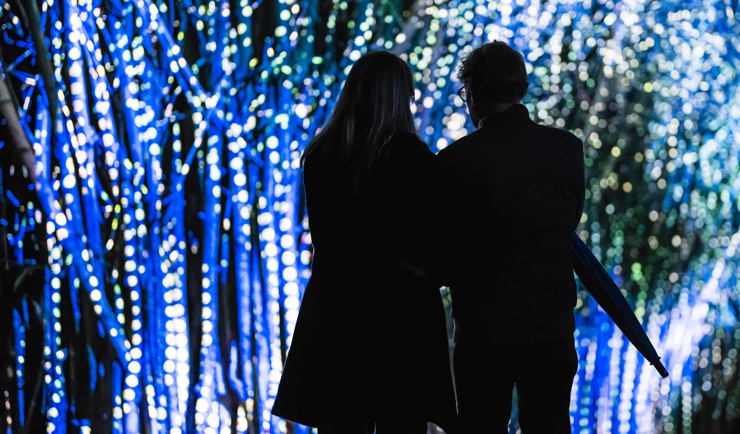 Light Cycles lights up the Adelaide Botanic Garden with video projections, light effects, lasers, smoke and soundscapes. Photo: Moment Factory 