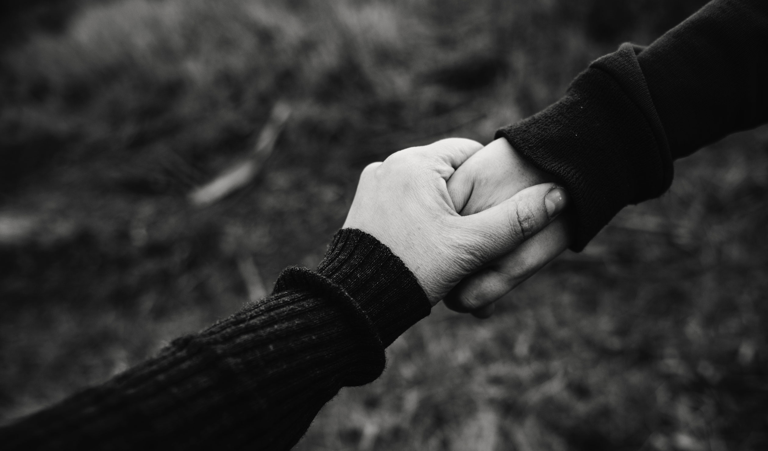 Thumbnail for Poem: This, too, is for you