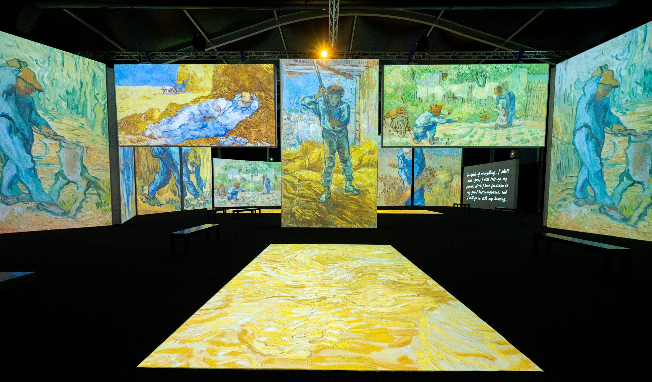 Vast screens on the walls and floor show different images in the 'Van Gogh Alive SENSORY4™ Gallery'. Photo: Morgan Sette