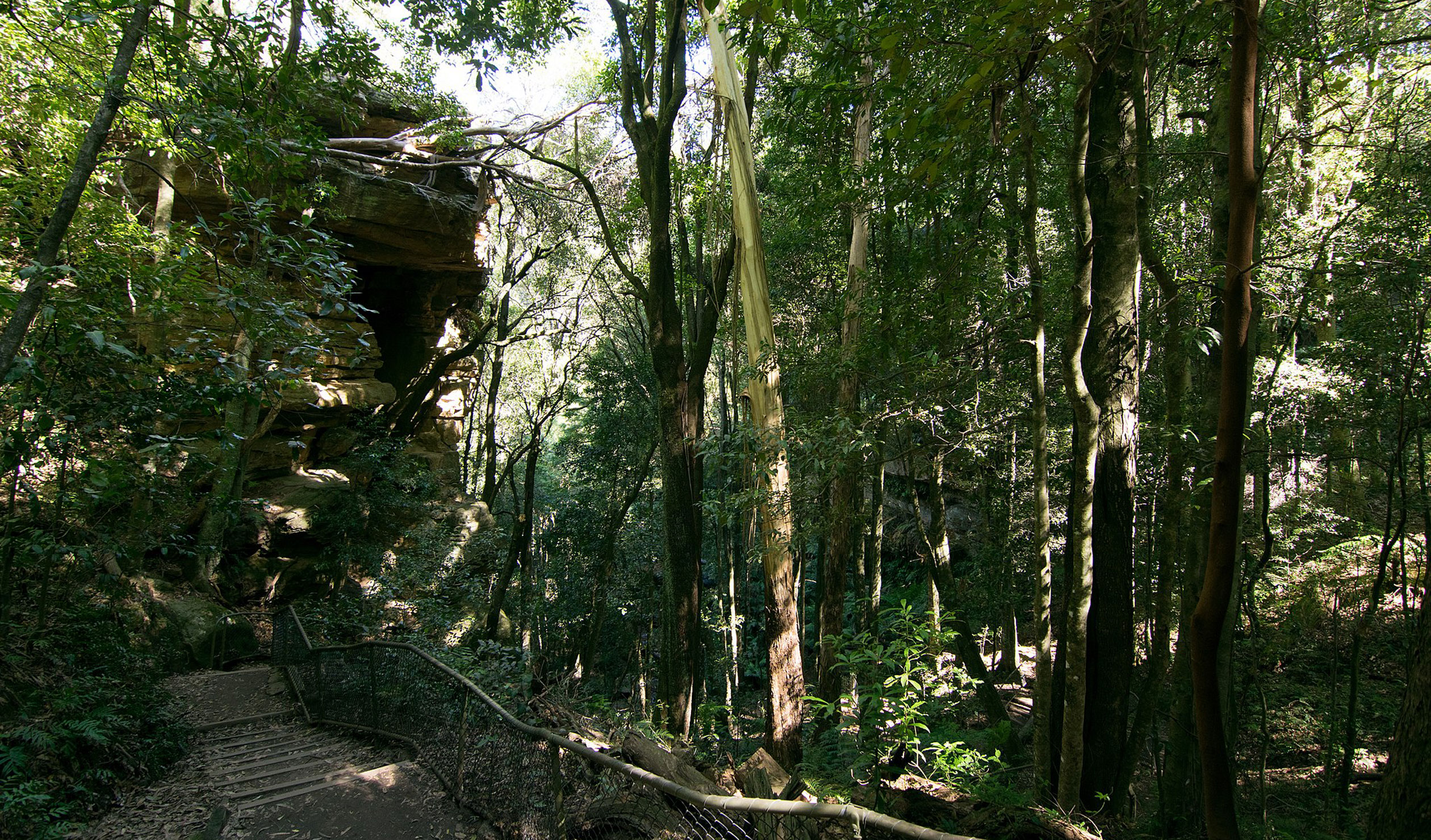 Blue Mountains National Park. Photo: Wikimedia Commons
