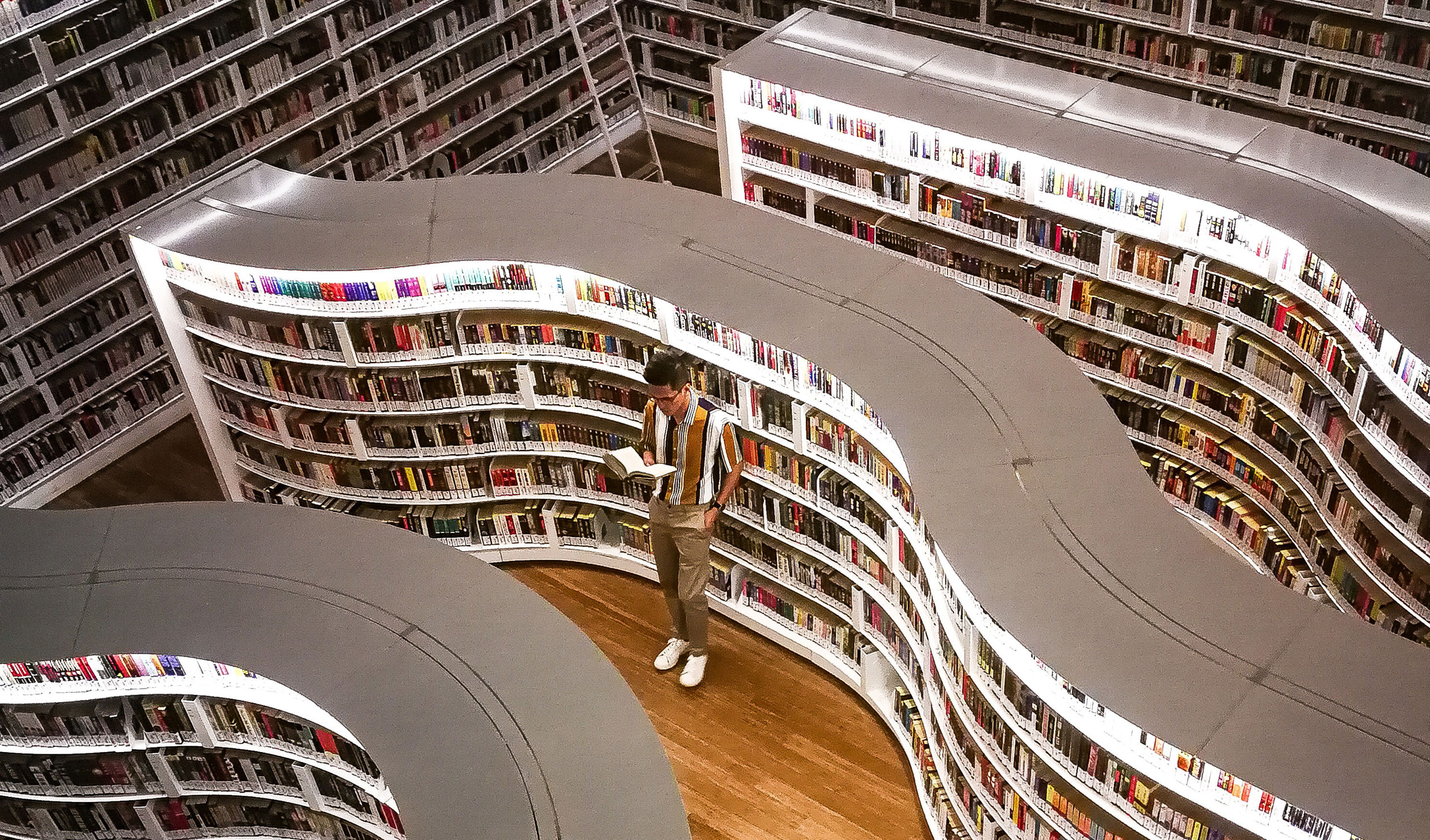 Thumbnail for Poem: The Library