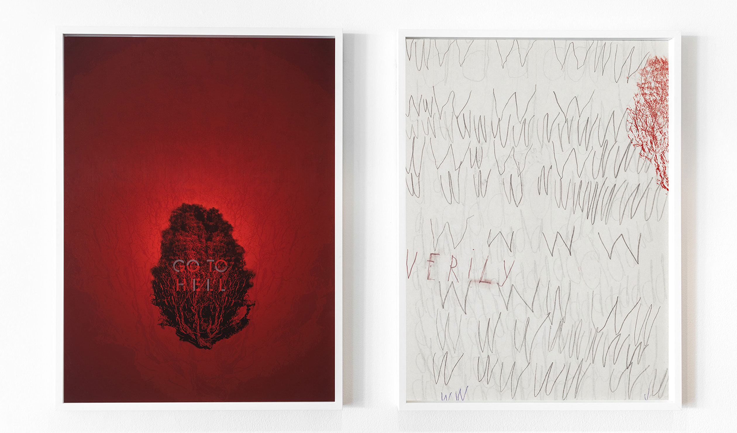 installation view: Olga Sankey's 'Forked tongue', 2007, Adelaide, inkjet print on two sheets of paper, sandblasted perspex; Ed and Sue Tweddell Fund for South Australian Contemporary Art 2009. Photo: Saul Steed
