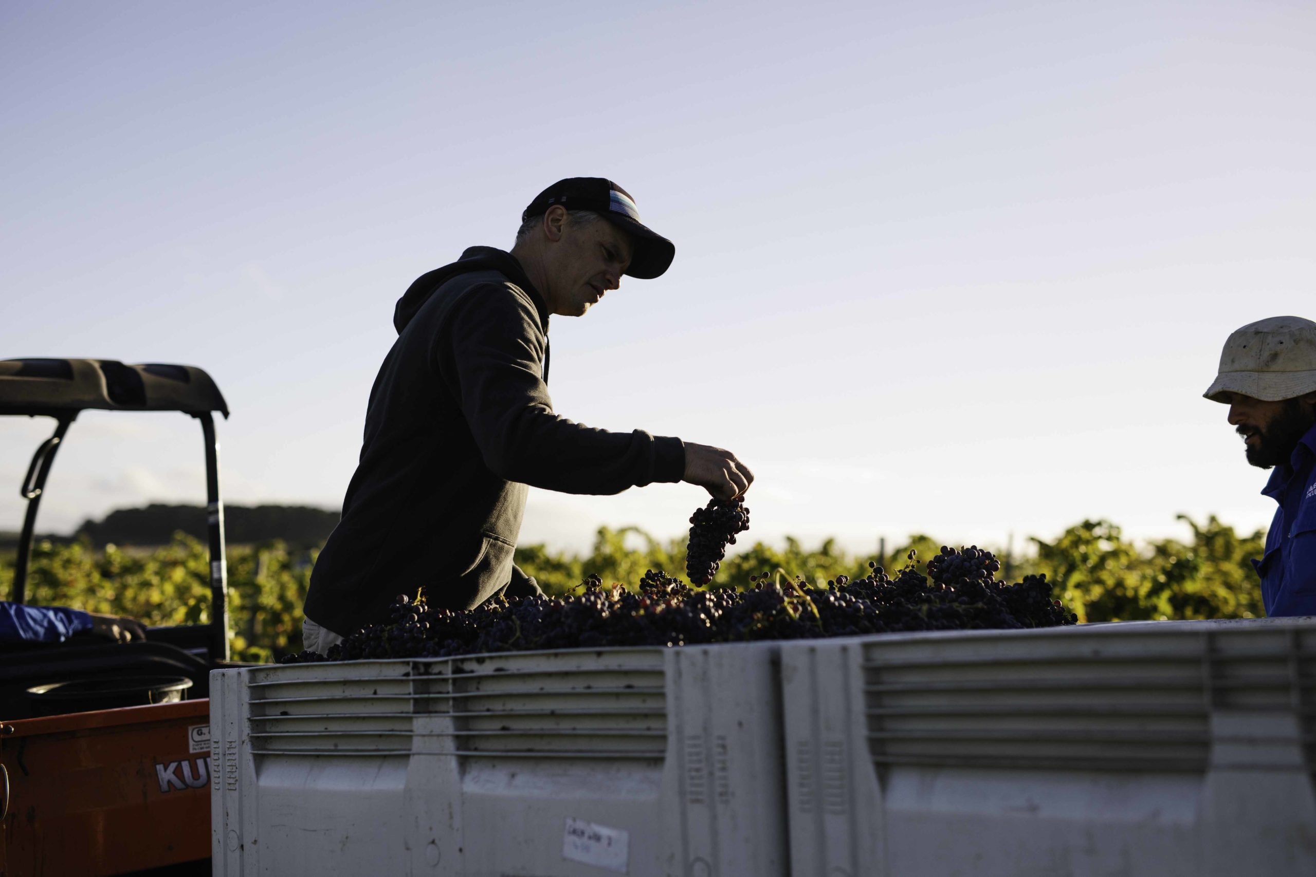 Thumbnail for What’s next for wine’s Generation G? There are no limits