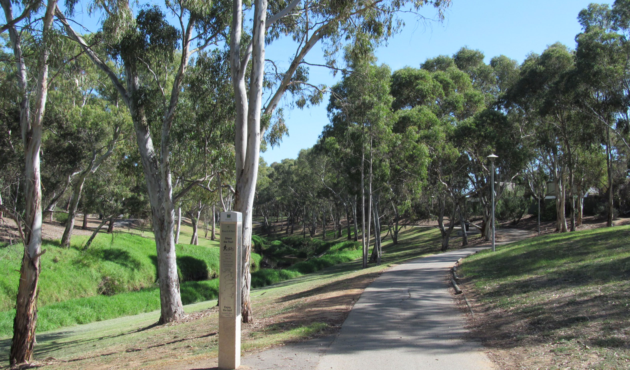 Thumbnail for Poem: The Tauondi Trail