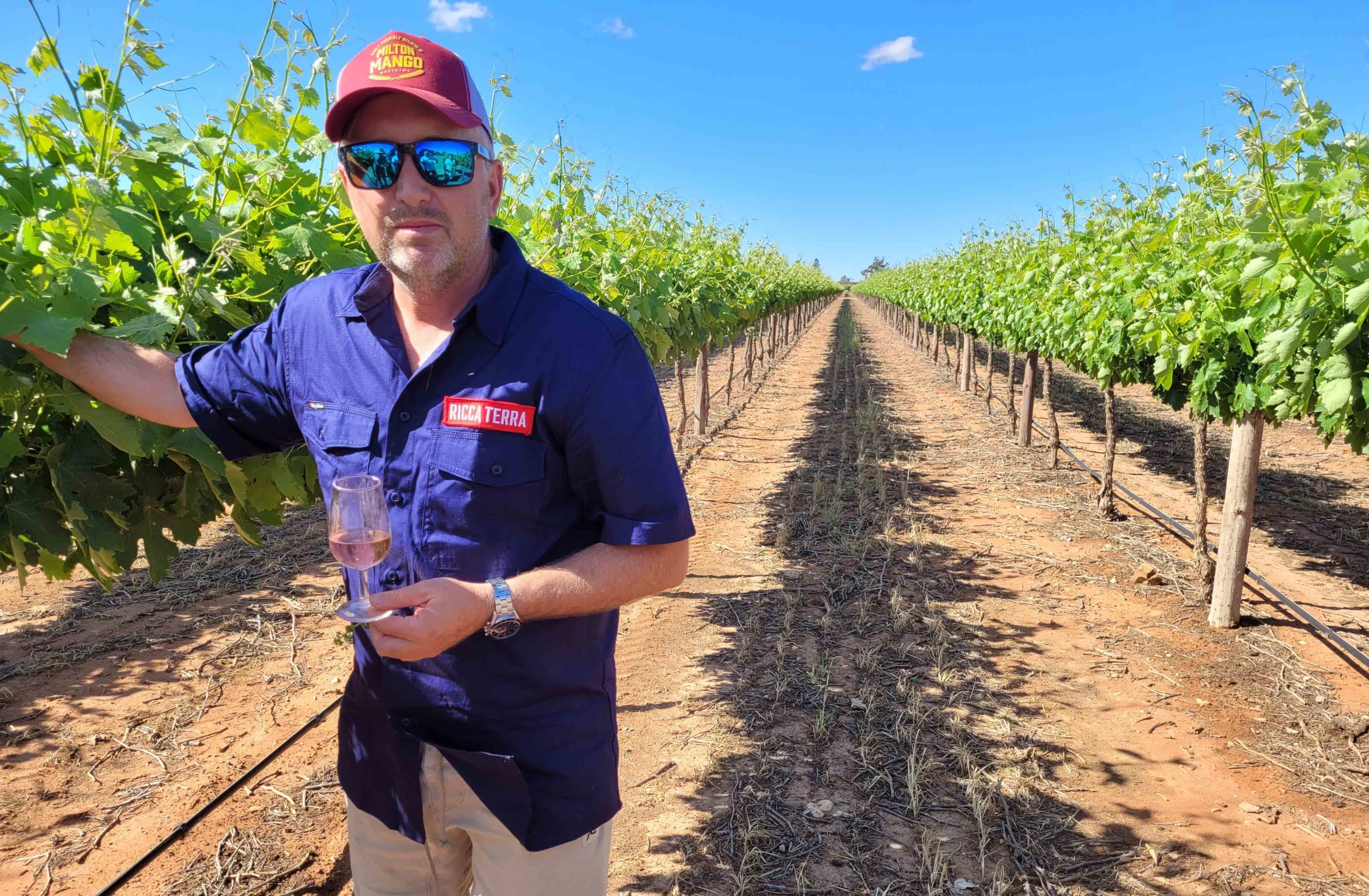 Thumbnail for A new wine story unfolds under big Riverland skies