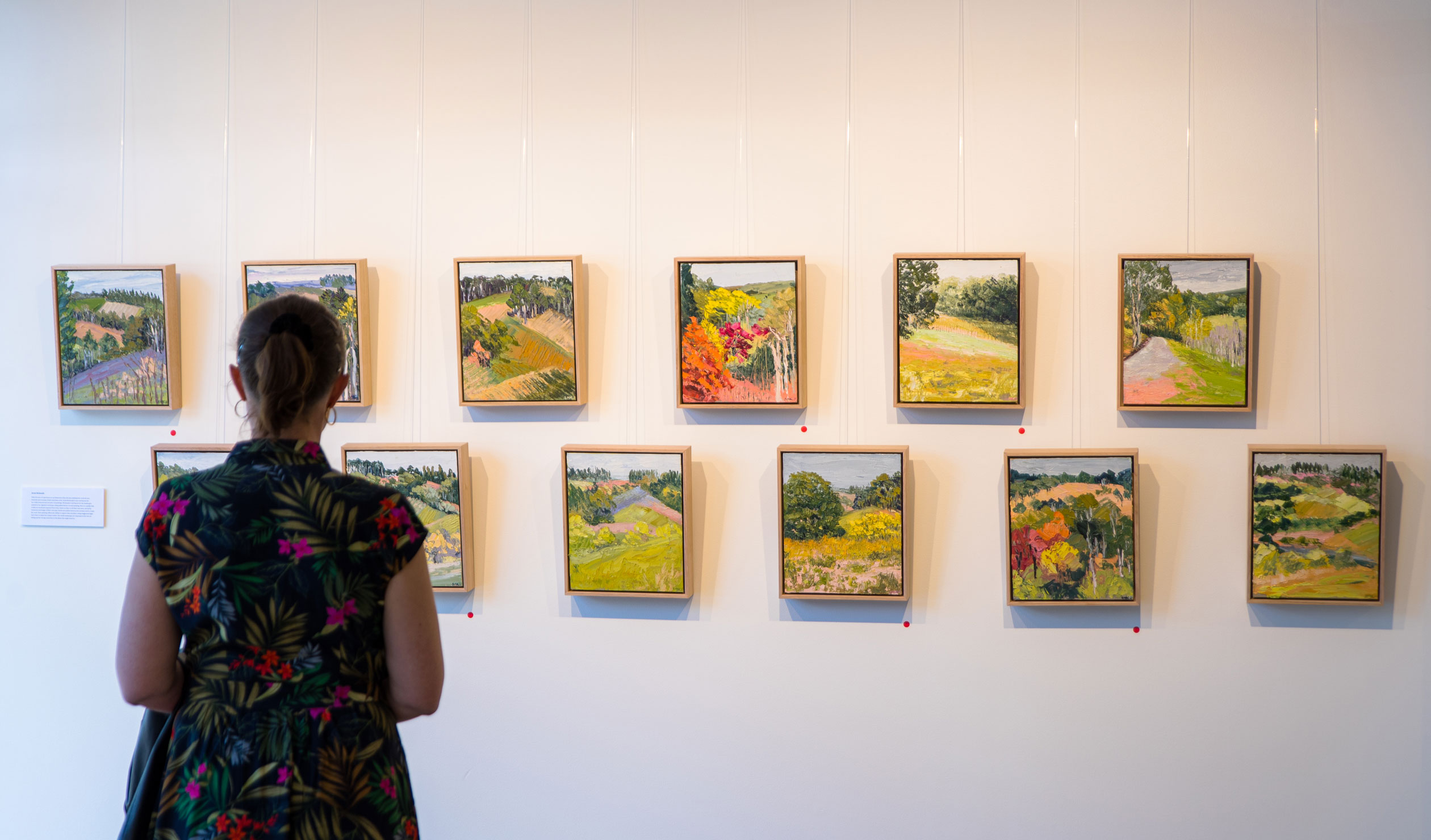 Rich and textural: Sarah McDonald's paintings in the Ode to the Orchard group exhibition. Photo: supplied