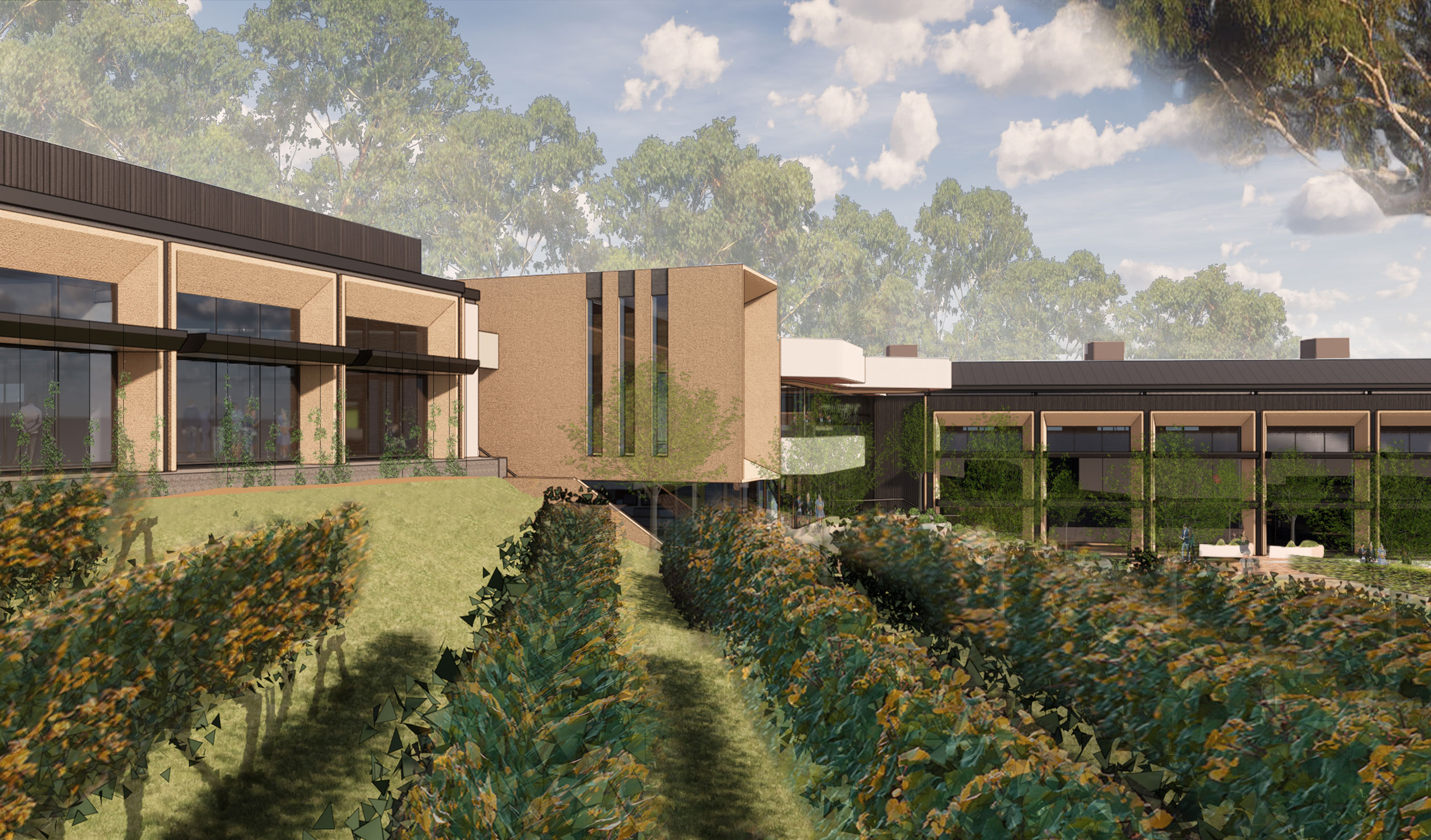 Thumbnail for Regenerating Adelaide – when simple sustainability is not enough
