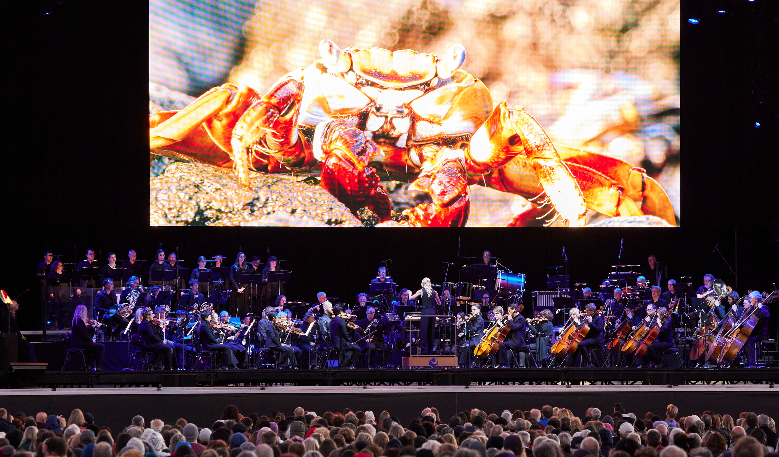 Thumbnail for Festival of Orchestra review: Blue Planet II Live in Concert