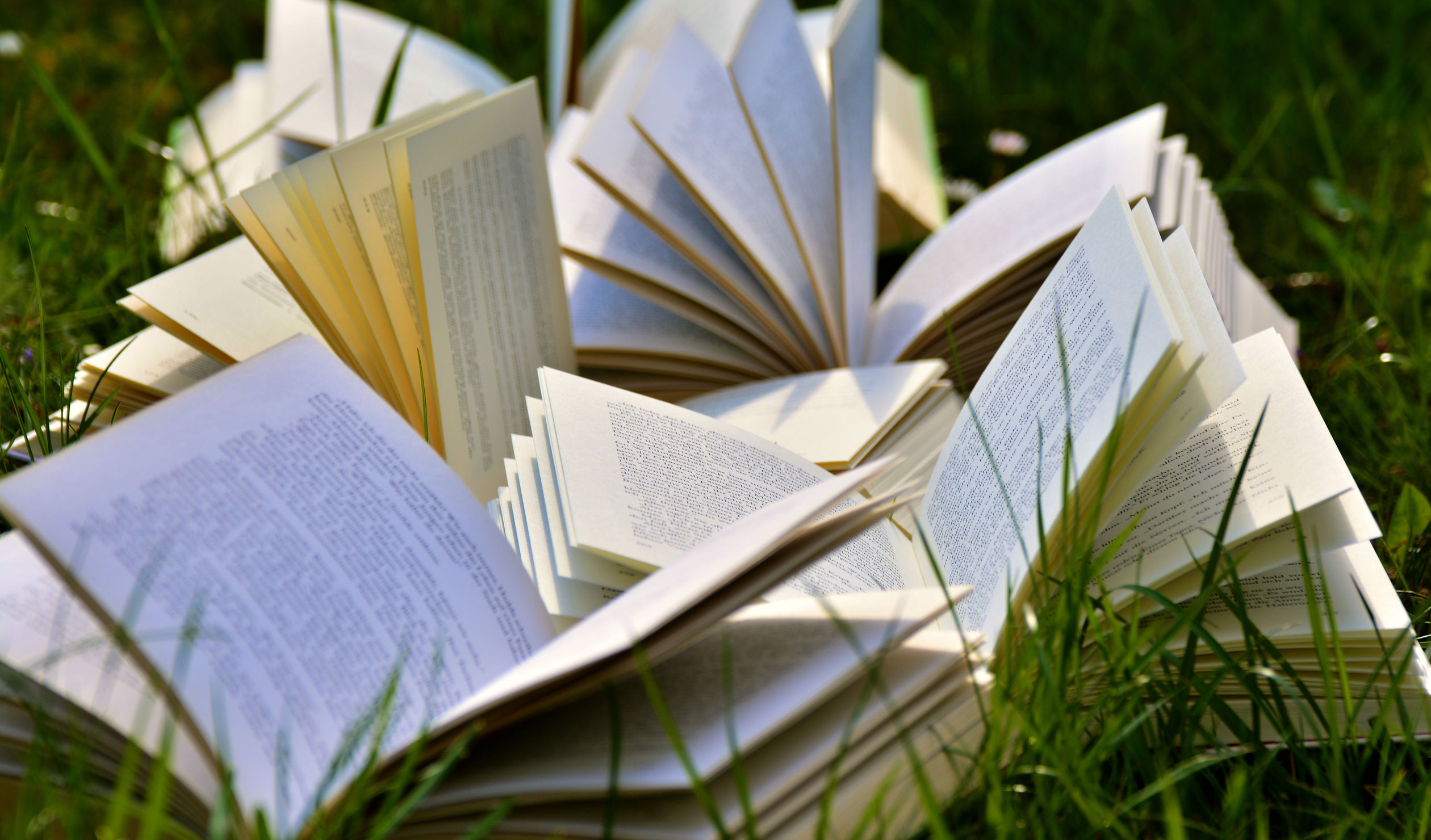 Thumbnail for Eight of the best: the year in books