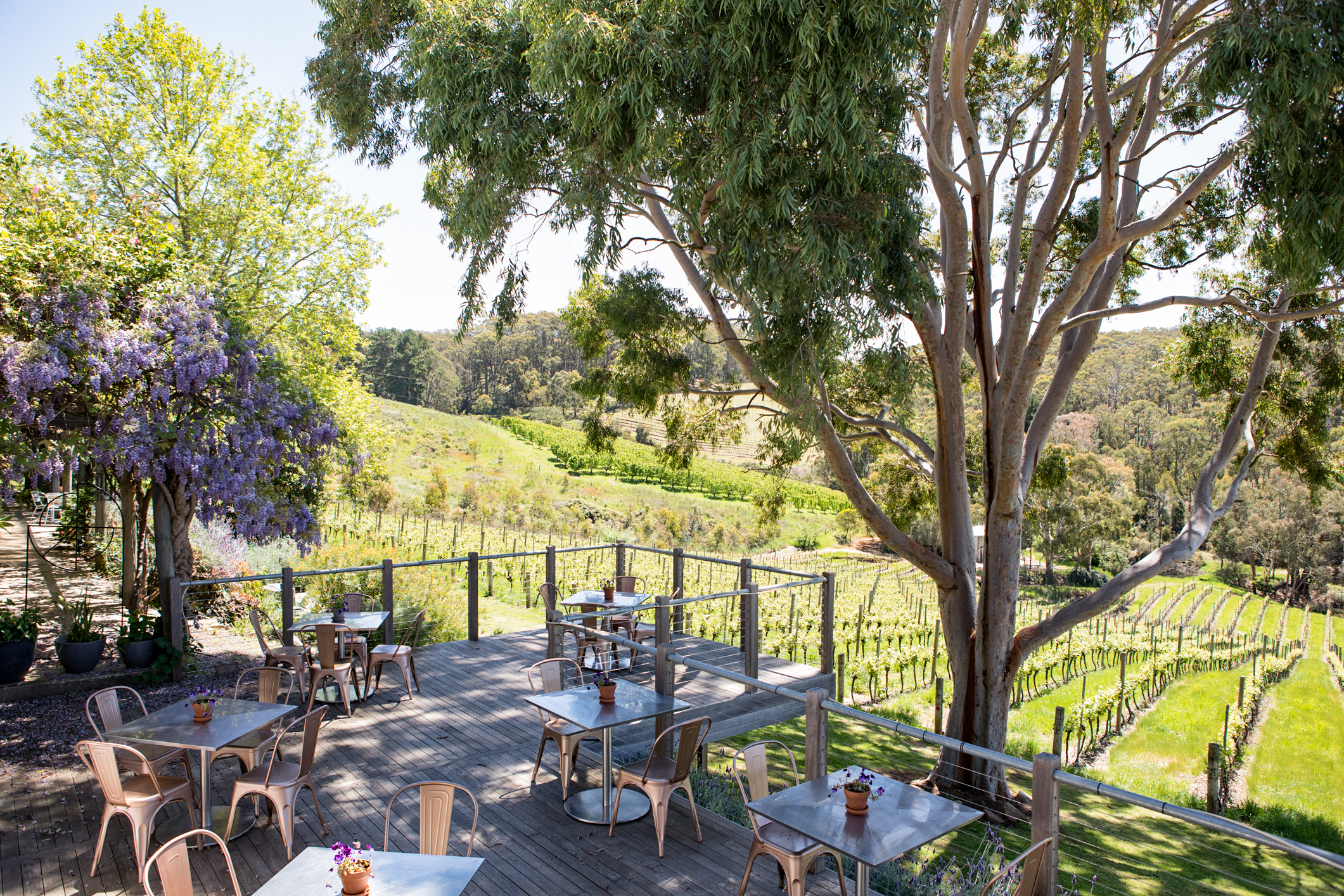 Thumbnail for Restaurant review: Mt Lofty Ranges Vineyard