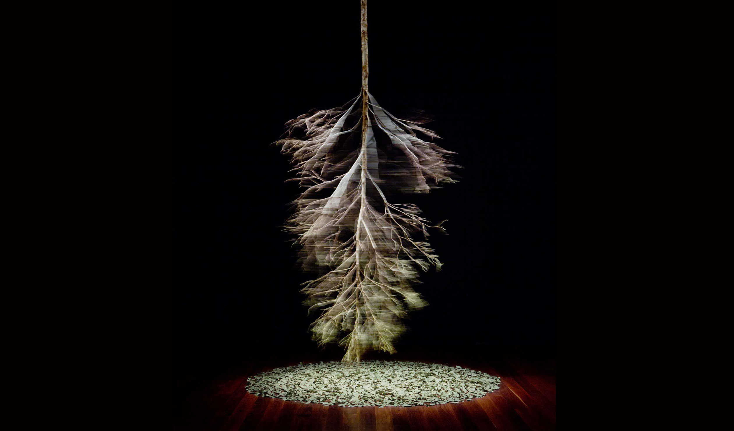 Hossein Valamanesh, born Tehran 1949, died Adelaide 2022, 'After rain', 2013, Adelaide, suspended tree and electric motor. On loan from the artist’s estate. © Hossein Valamanesh