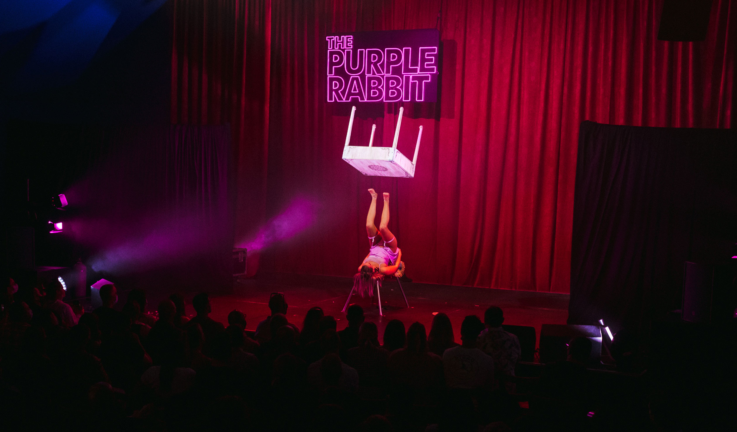 Thumbnail for Fringe review: The Purple Rabbit