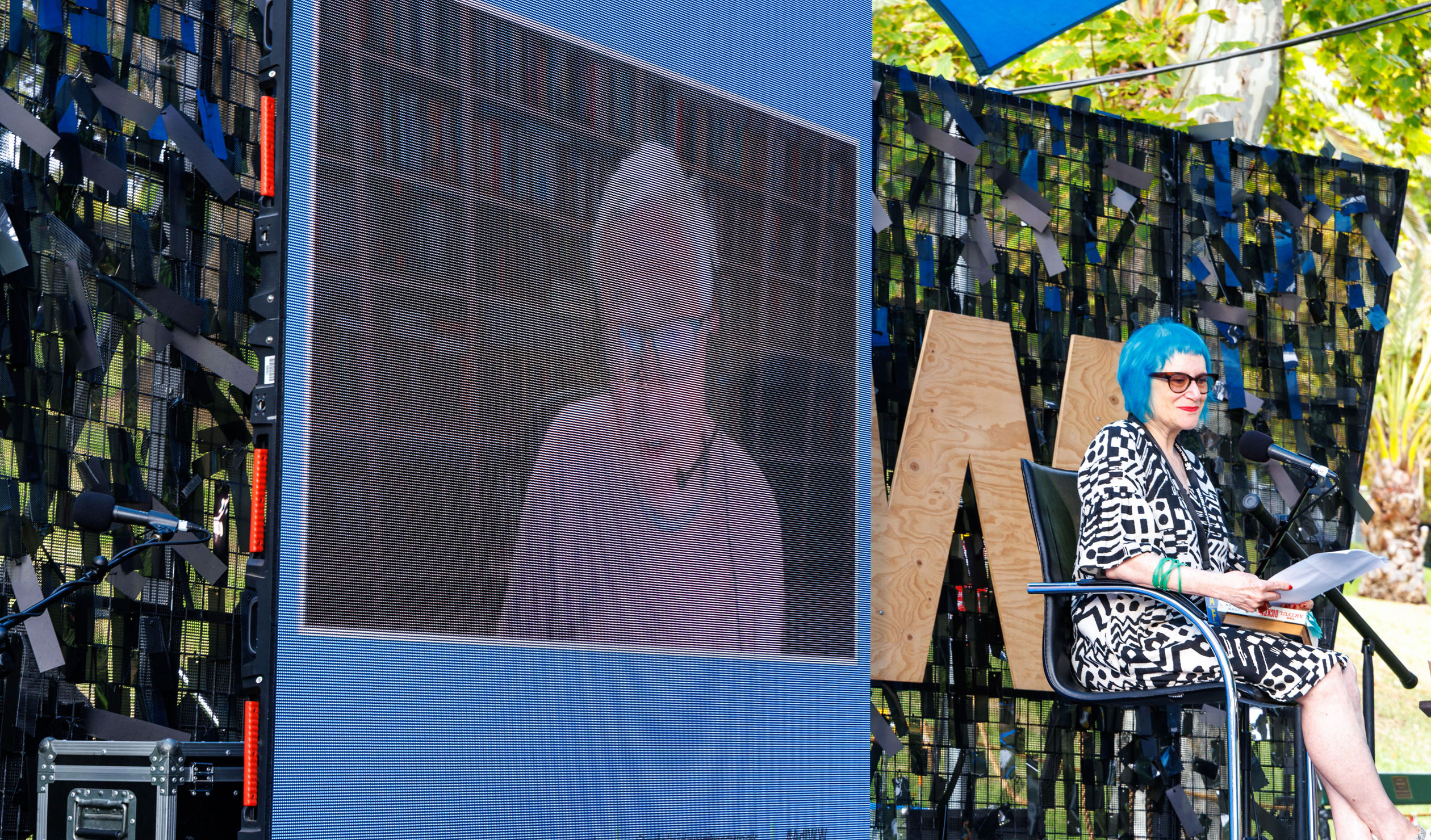 Novelist Linda Jaivin chairs The Art of Dickens session with John Mullan, who appeared at Writers' Week via video link from the UK. Photo: Tony Lewis / InReview 