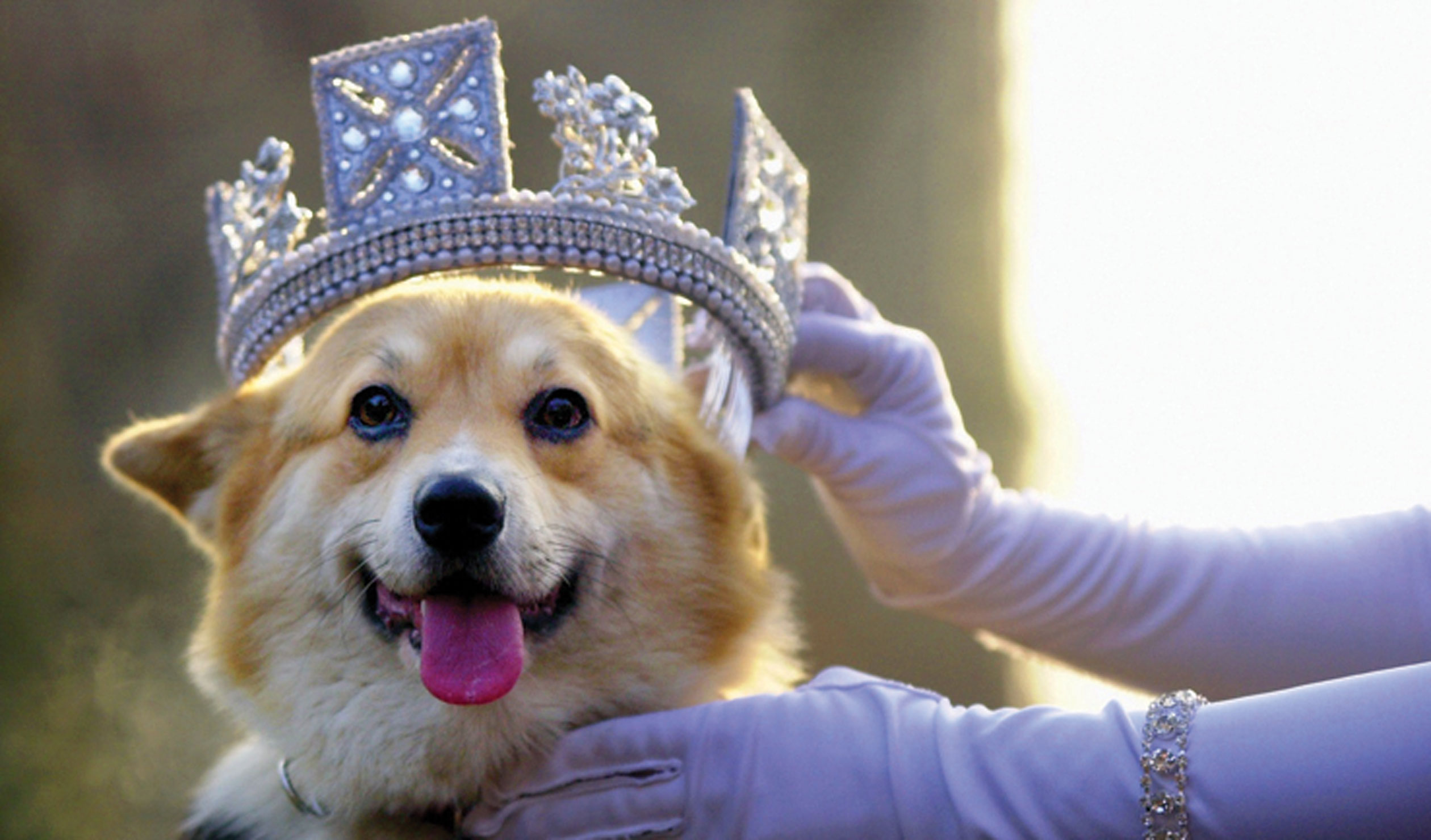 Thumbnail for Fringe review: Amazing Adventures of Her Majesty at 90+