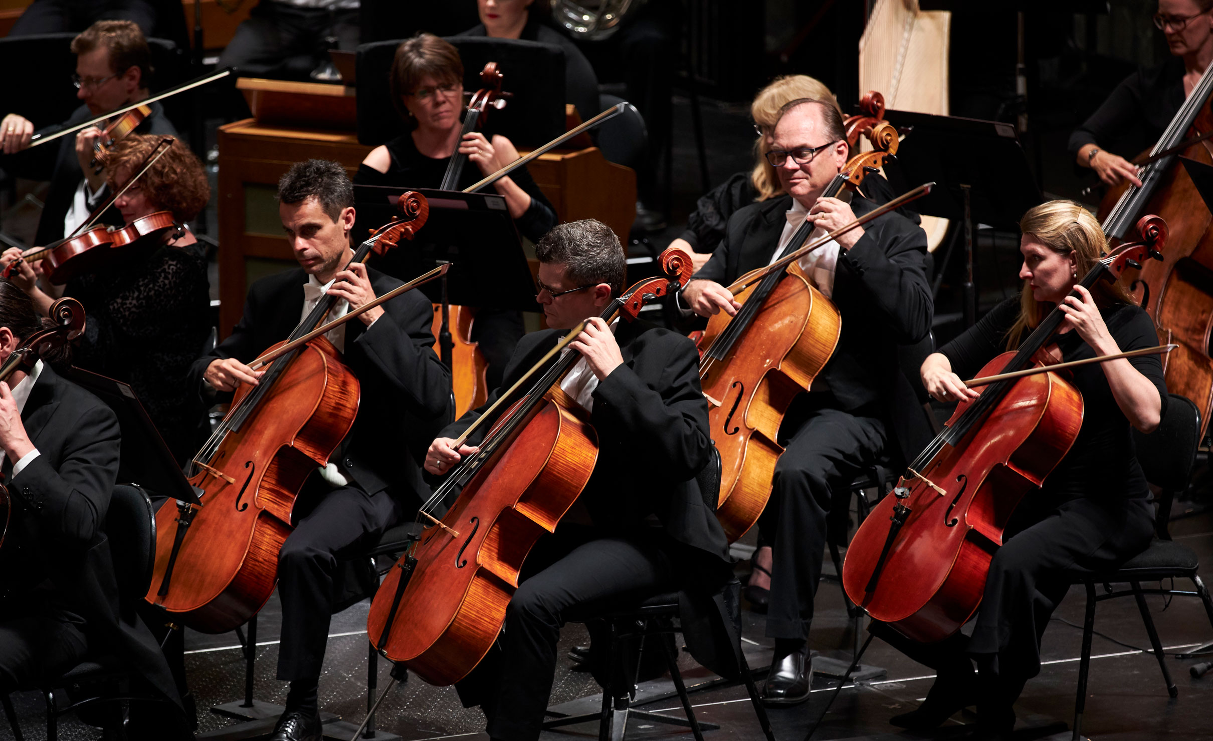 Thumbnail for Music review: ASO’s Jubilation