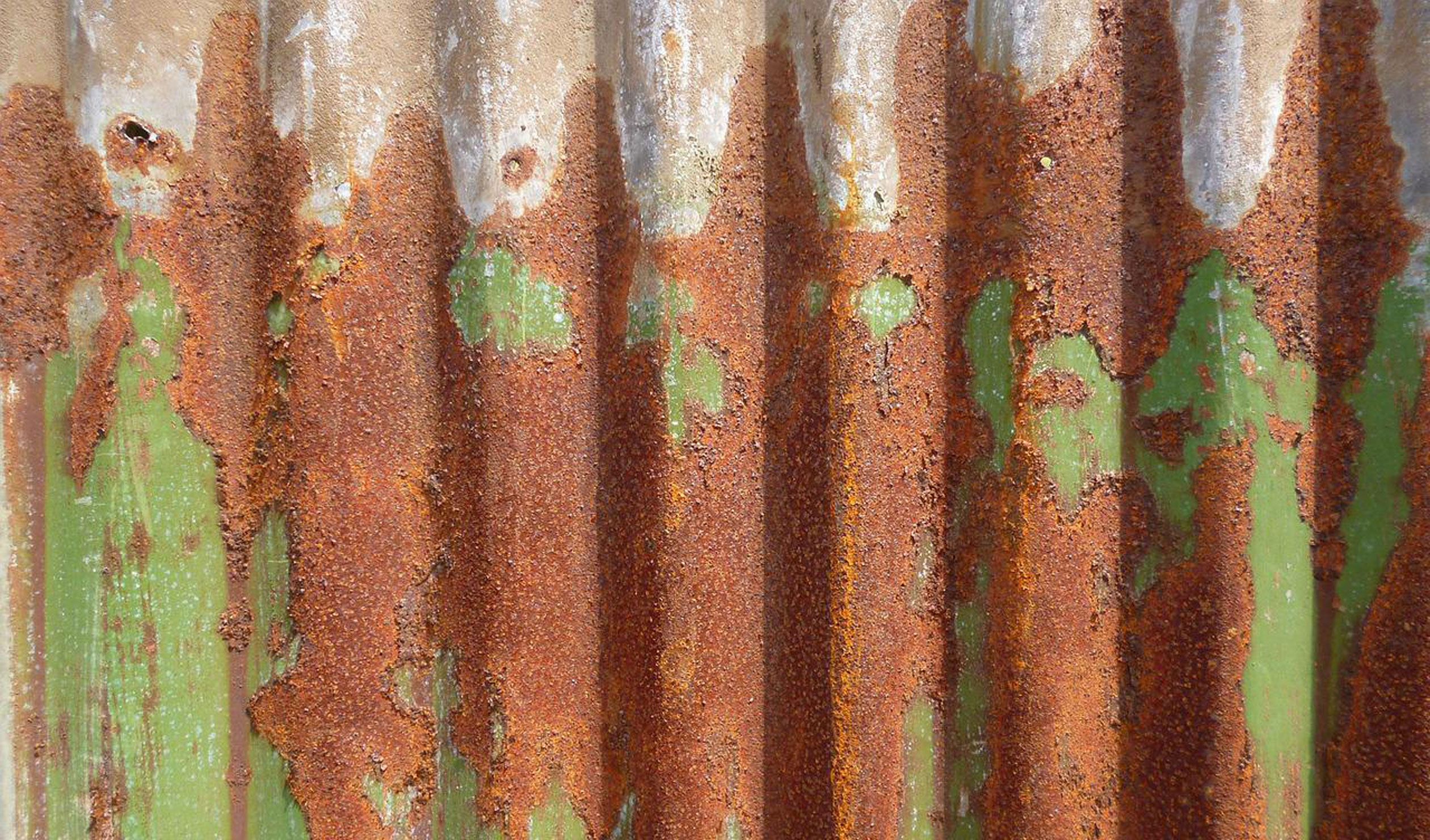 Thumbnail for Poem: To a piece of corrugated iron lying in a creek bed