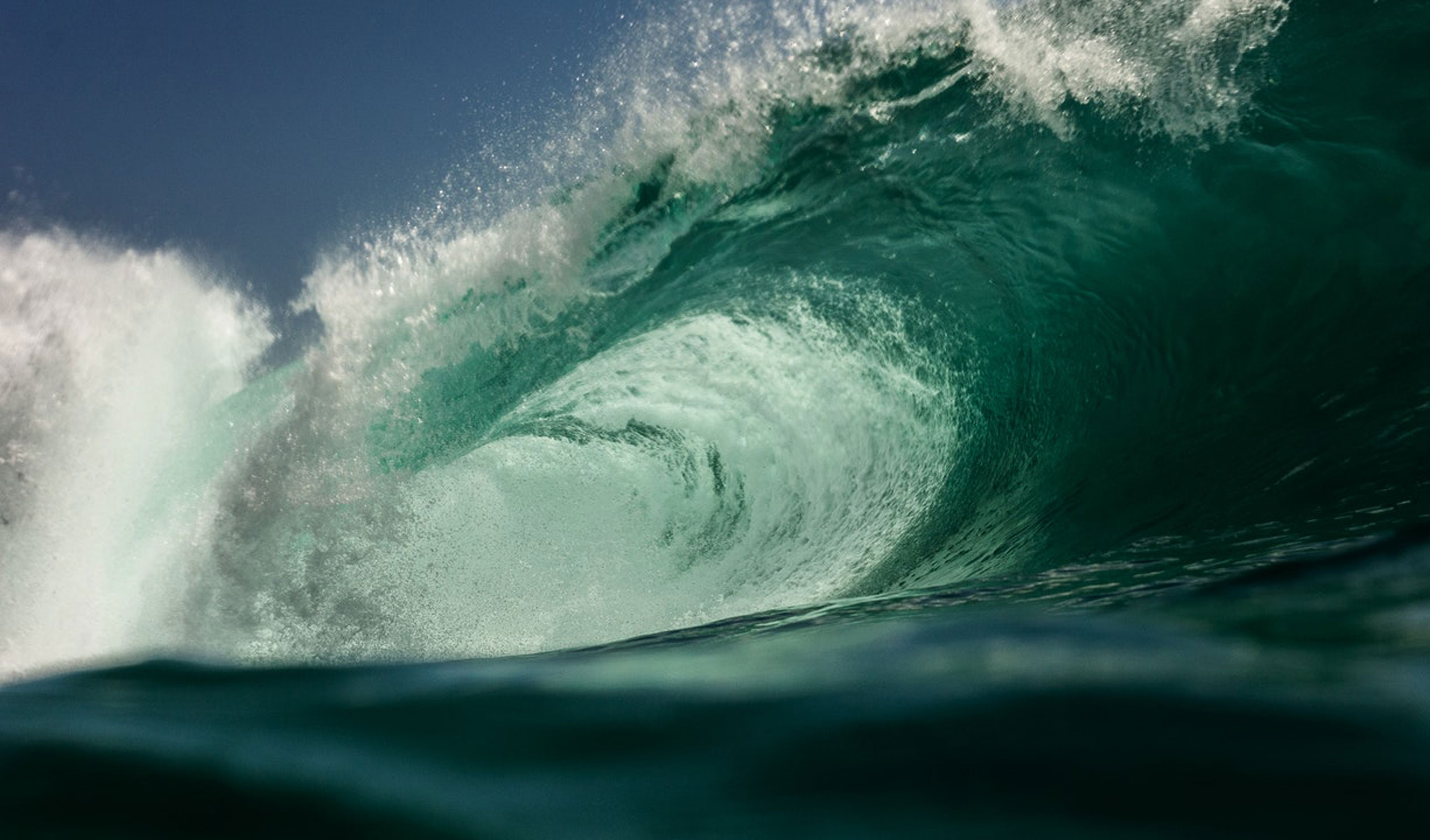 Photo: Emiliano Arano / Pexels