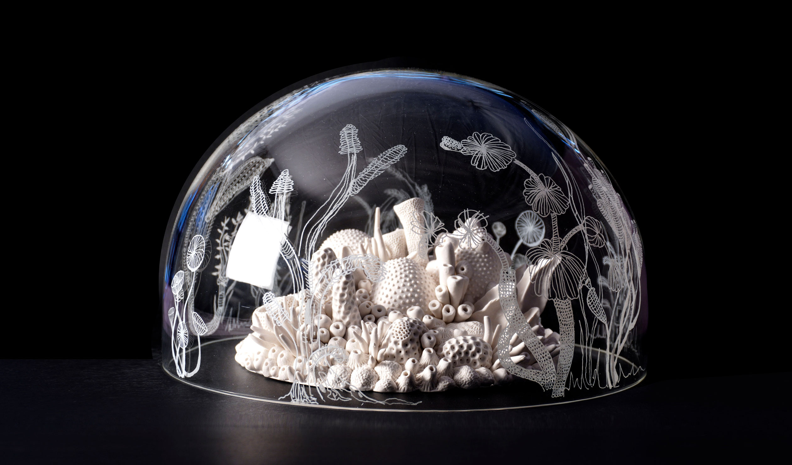 Thumbnail for Natural beauty abounds in 2022 Waterhouse Prize shortlist