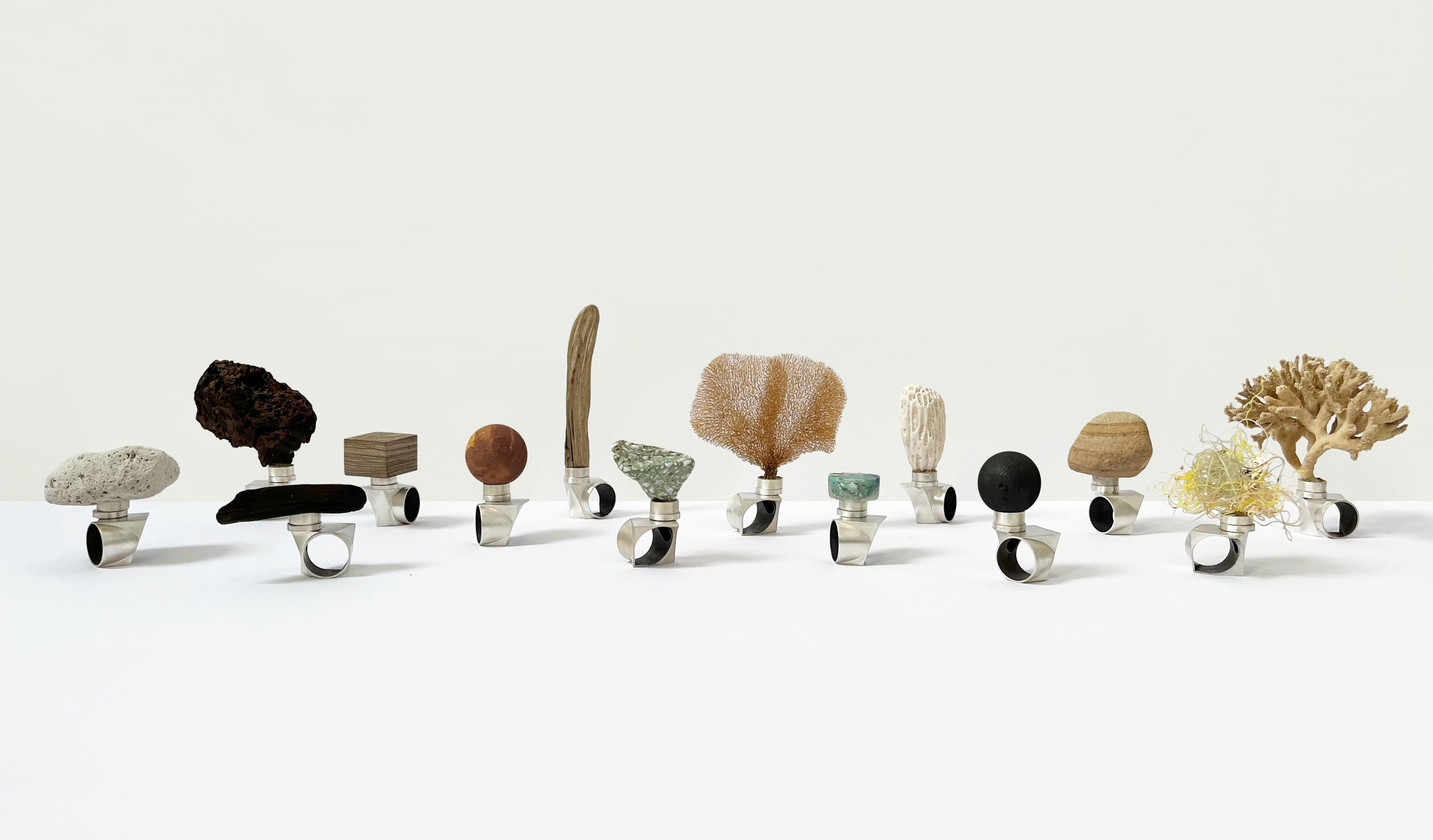 Thumbnail for Waterhouse Prize winners find beauty in foraged materials