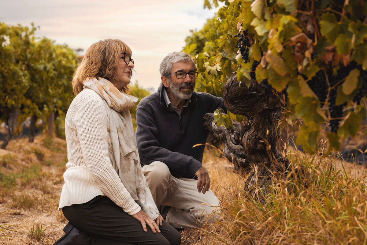 Thumbnail for Wines that stand apart, come together