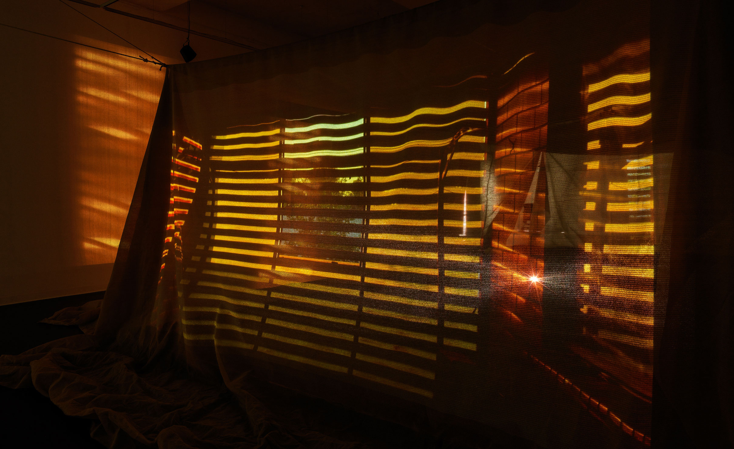 Thumbnail for Ghostly shade house tells a story of the past and present