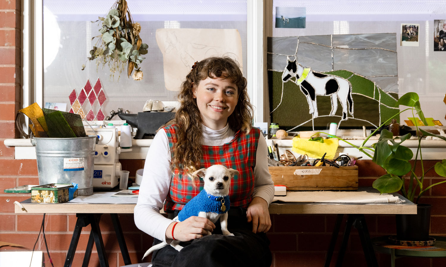 Chelsea Farquhar, pictured with her chihuahua Halloumi, works in ACE Gallery’s upstairs studio space. Photo: Jack Fenby 