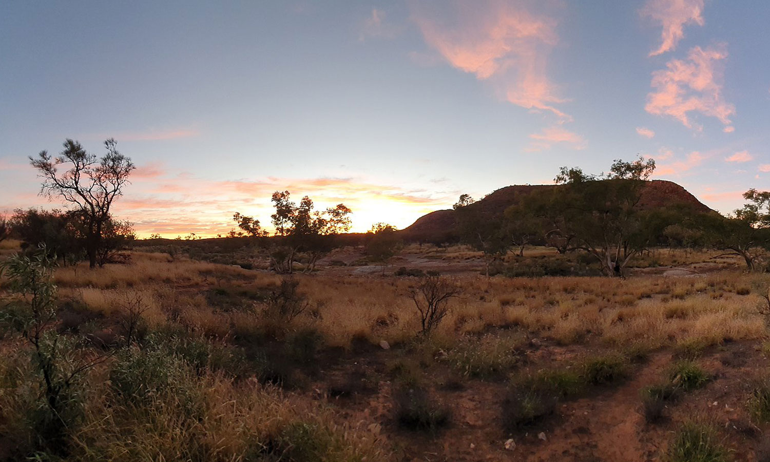 Thumbnail for Poem: A Traveller’s reflections from the Larapinta Trail