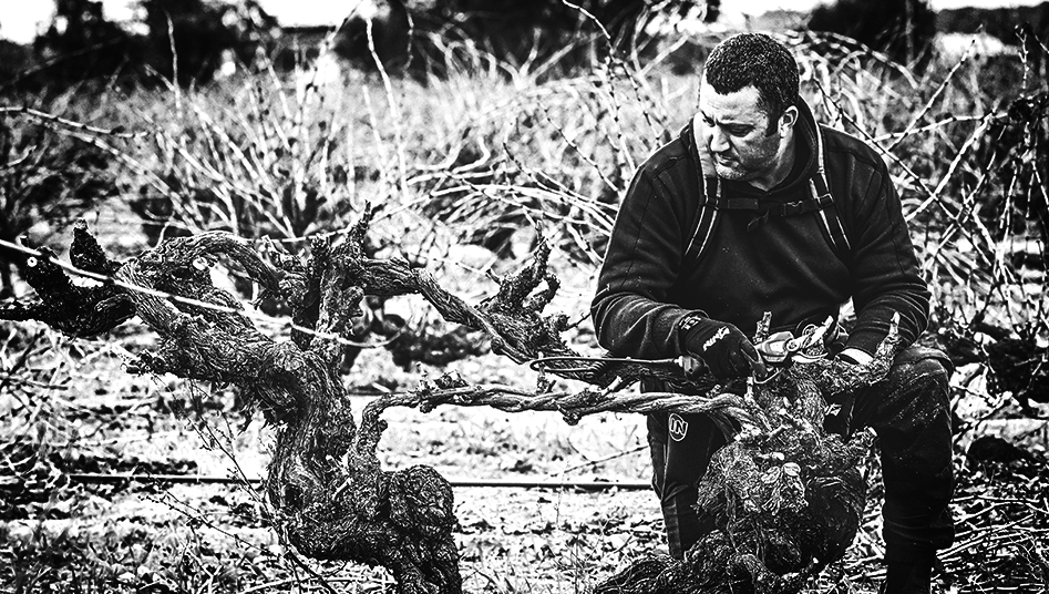 Thumbnail for Wine reviews: How the Barossa workhorse became a hero