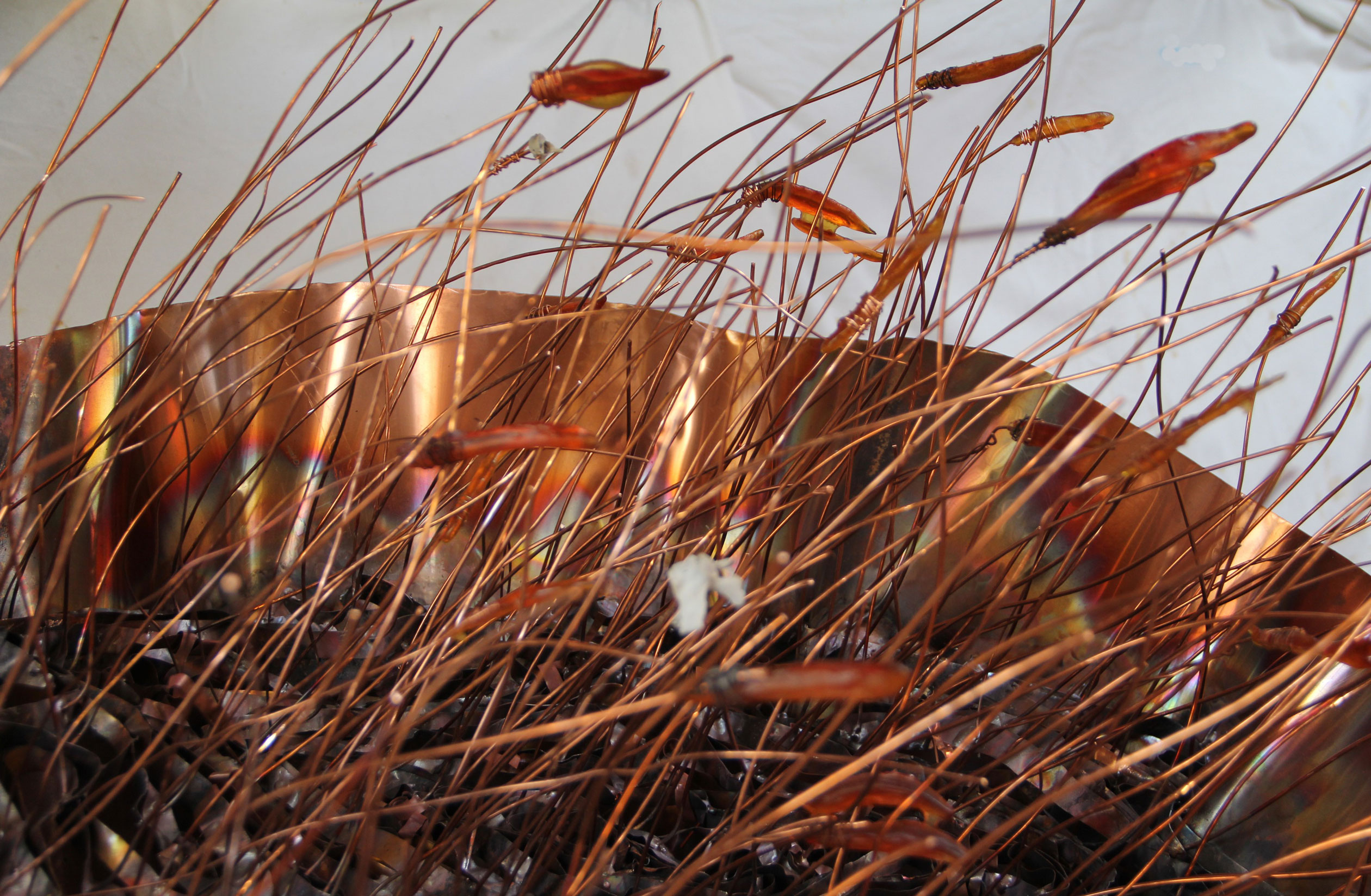 Thumbnail for Heysen Sculpture Biennial stirs the possums at Carrick Hill