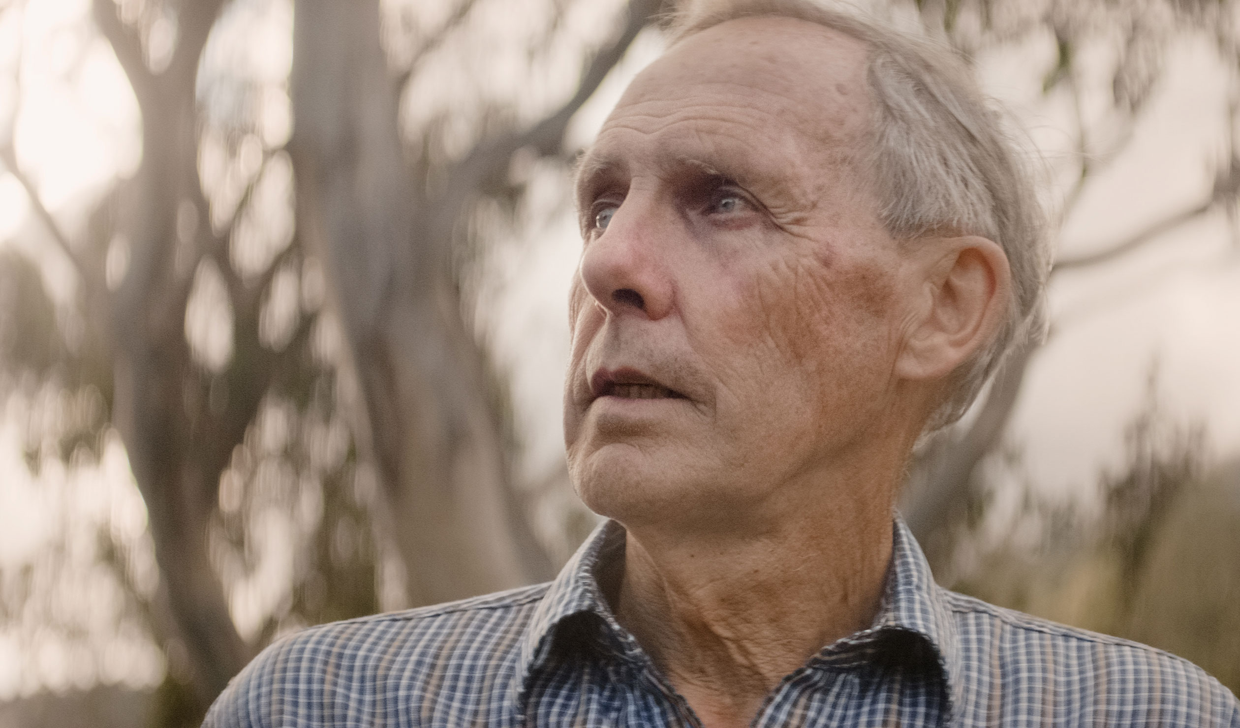 Bob Brown, pictured in a scene from 'The Giants', hopes the the beauty of the trees in the film will spur people to take action to save them.