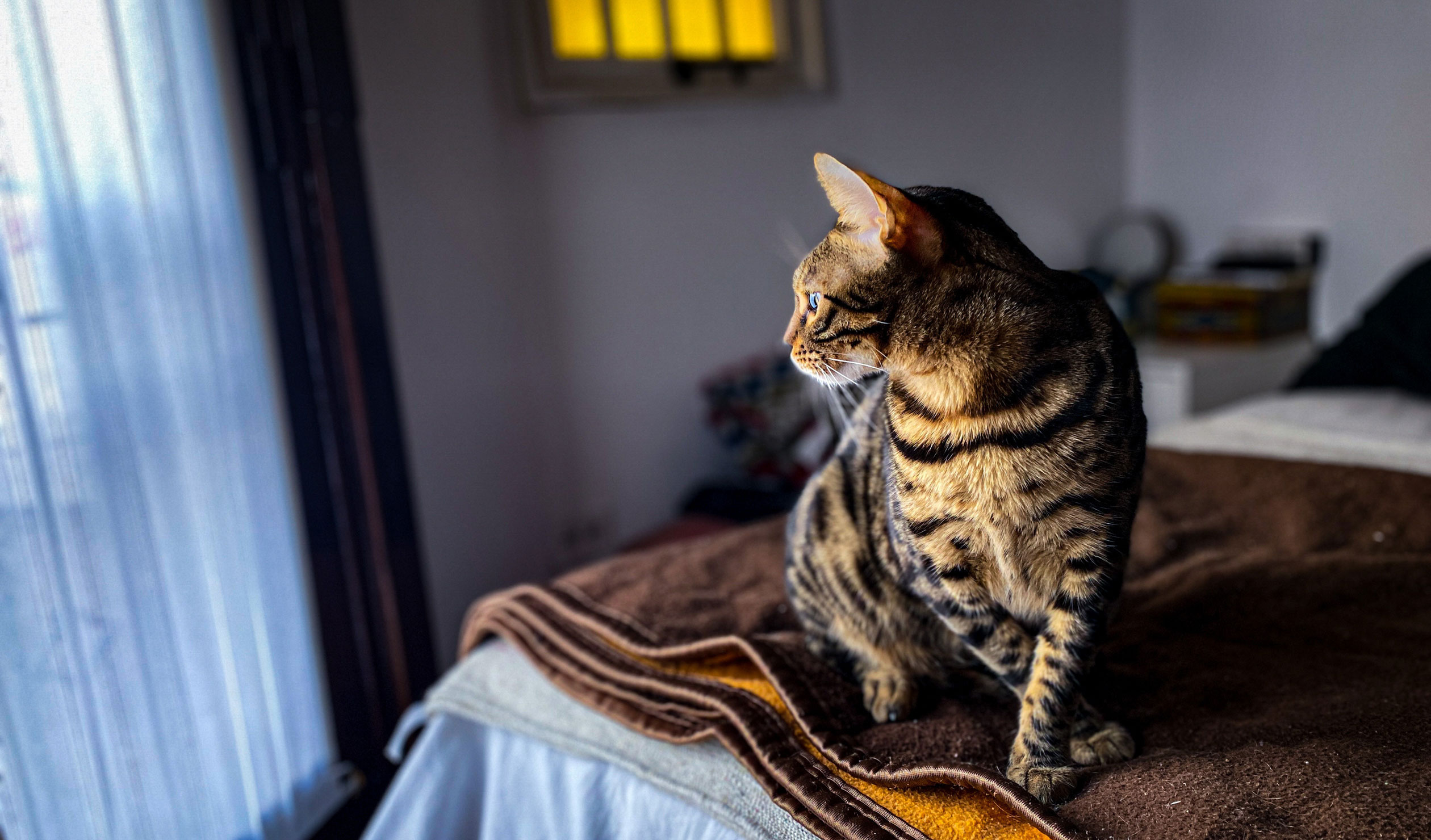 Photo: Astor Somohano / Pexels