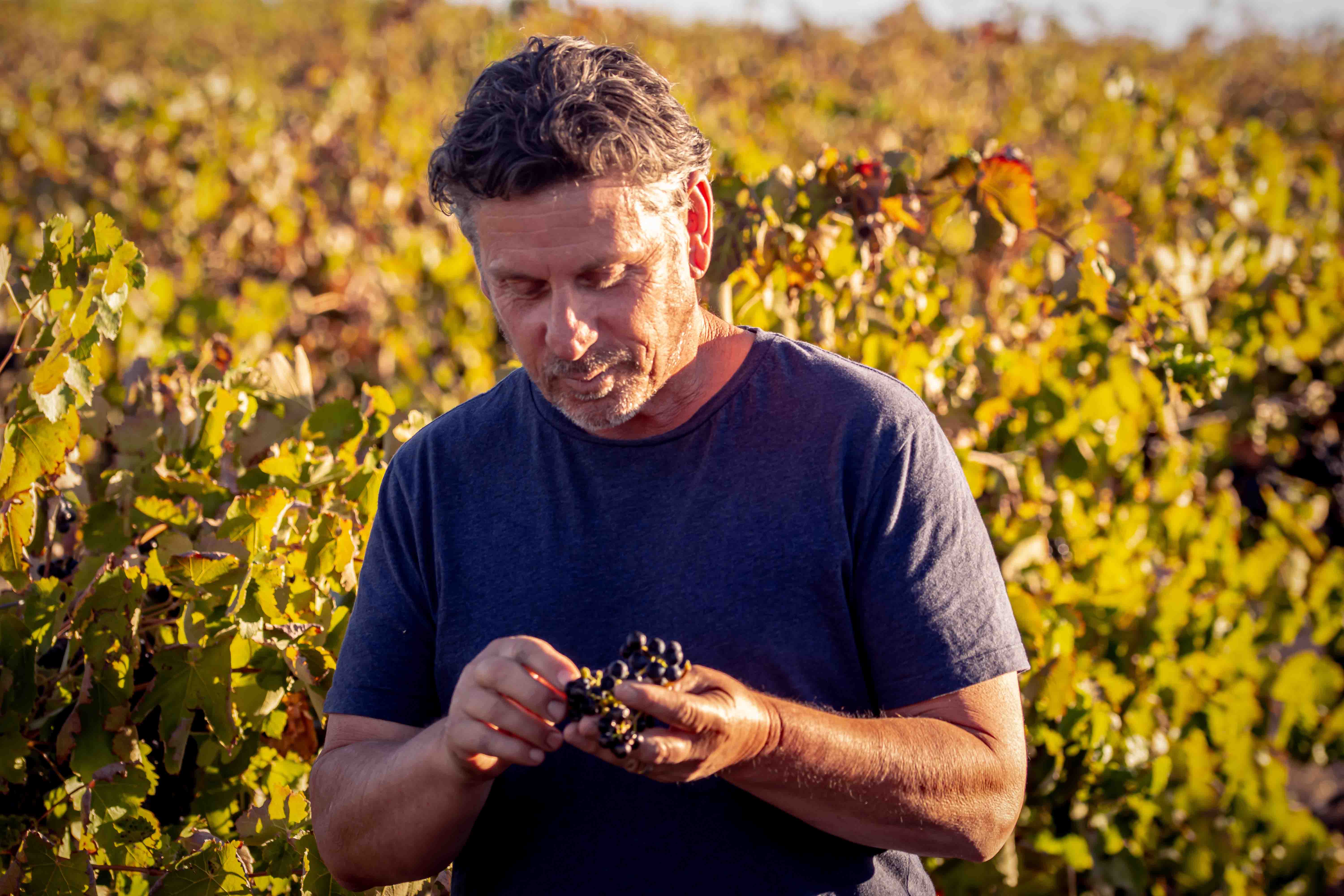 Craig Stansborough of Purple Hands Wines in the Barossa. Supplied image