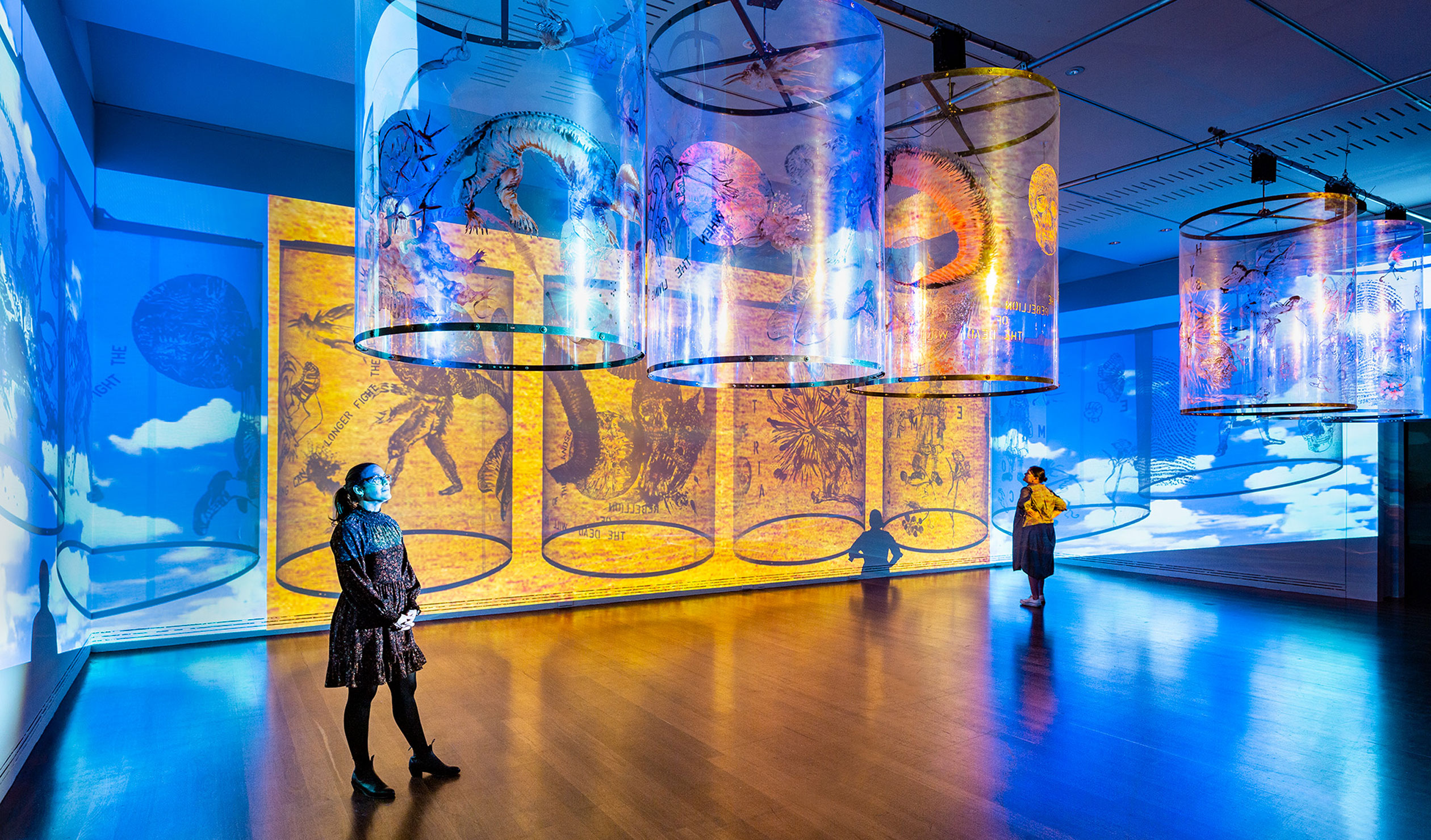 An installation view of 'Nalini Malani: Gamepieces', featuring 'Gamepieces' by Nalini Malani, Art Gallery of SA.  Photo: Saul Steed