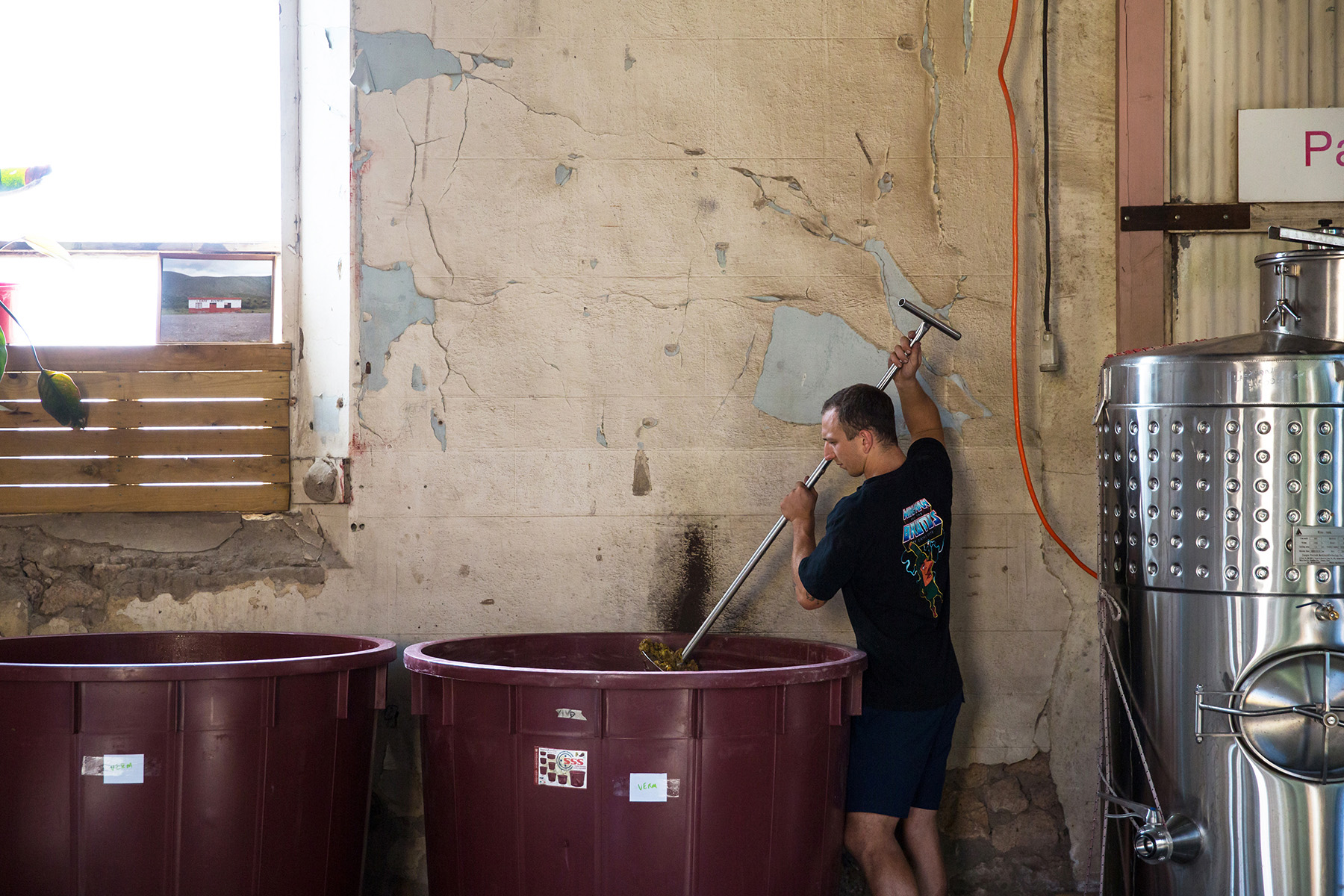 Con-Greg Grigoriou from Delinquente Wines. Supplied image