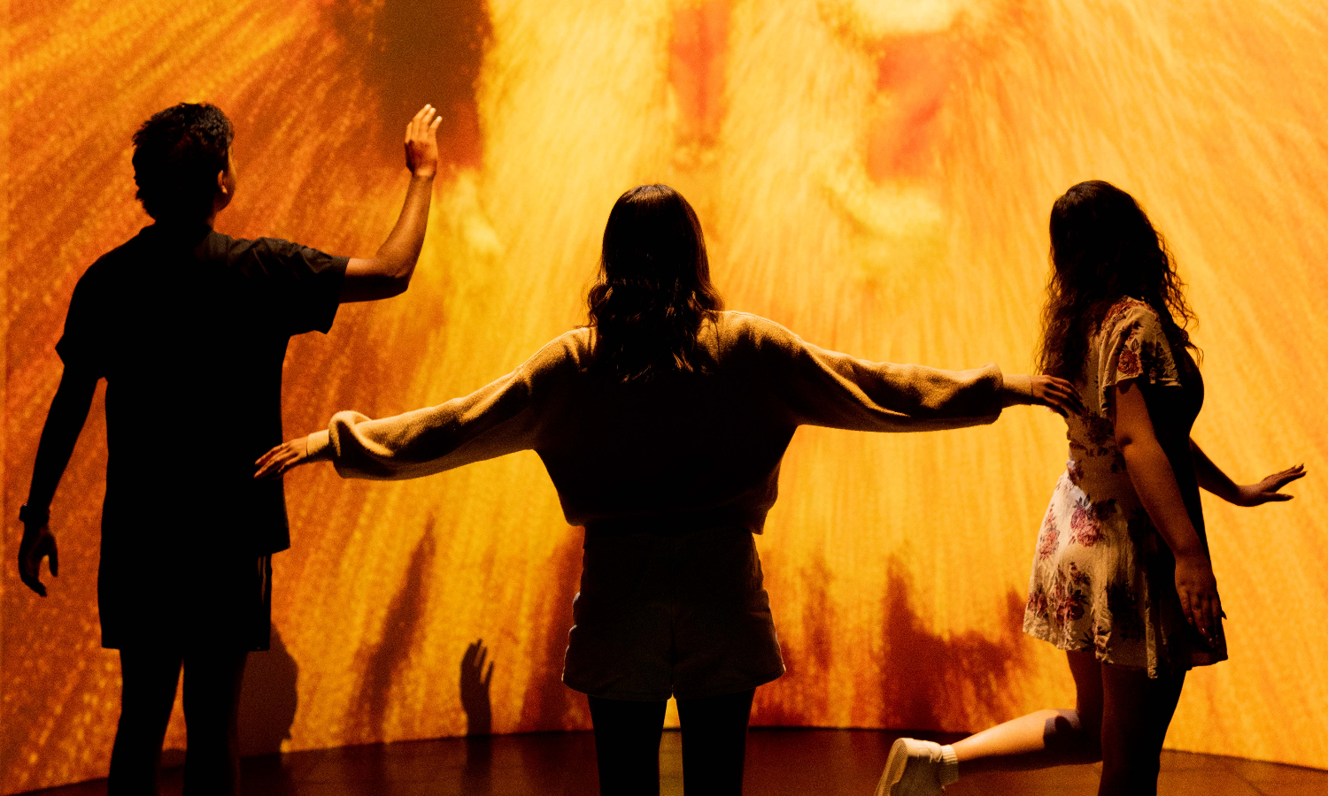 Thumbnail for Fringe review: FLEX