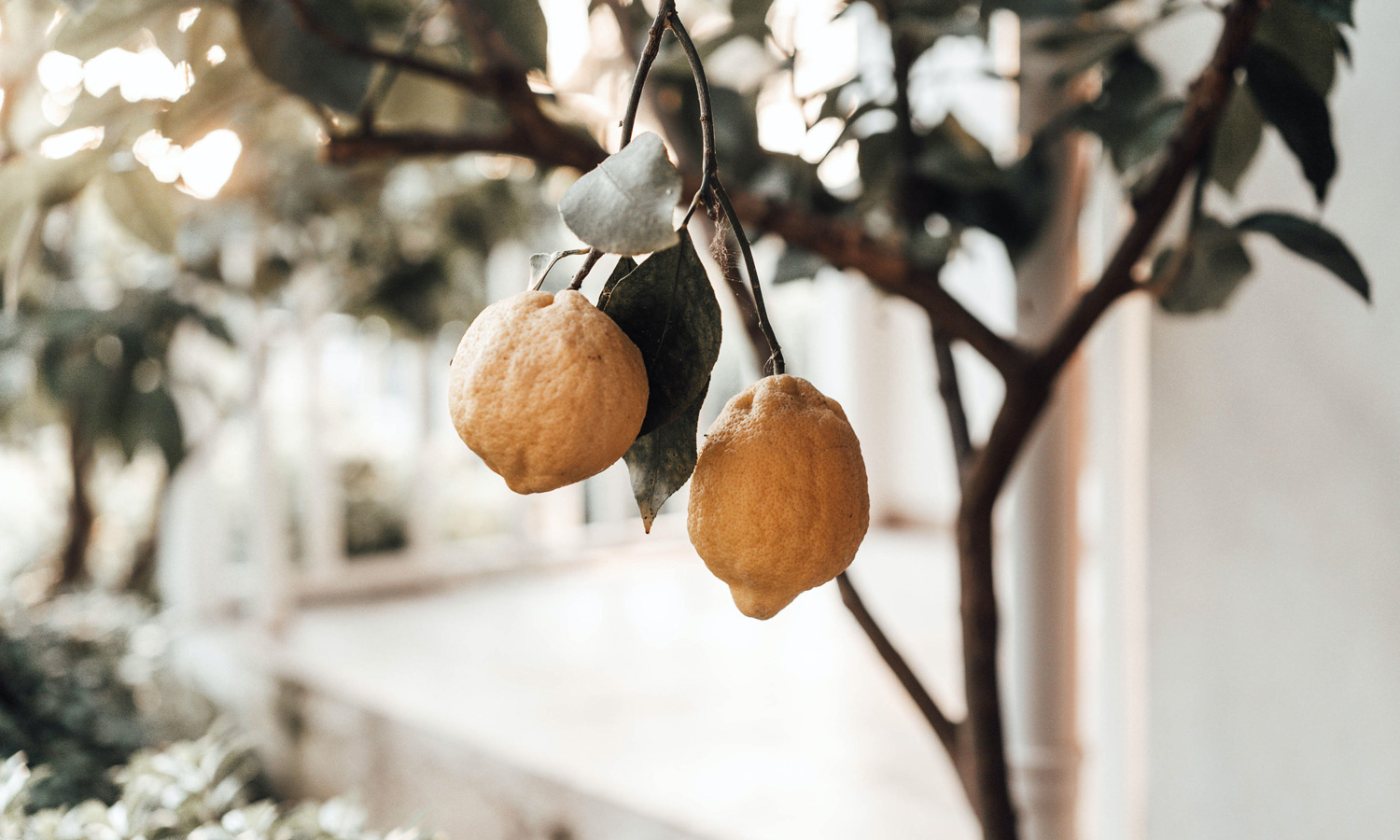 Photo: Pexels