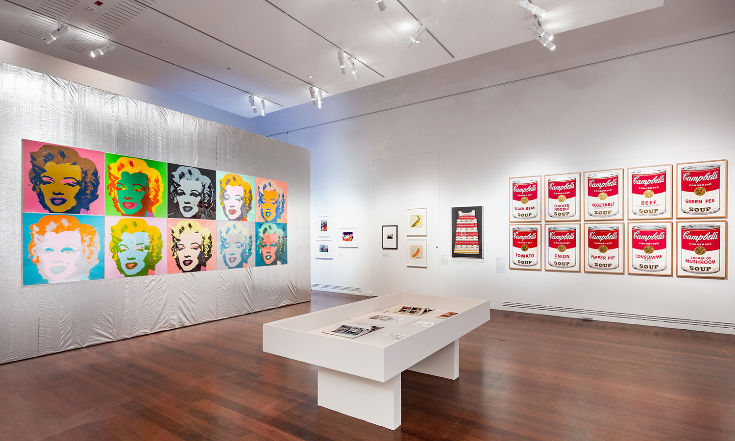 An installation view of 'Andy Warhol and Photography: A Social
Media' at the Art Gallery of South Australia. Photo: Saul
Steed