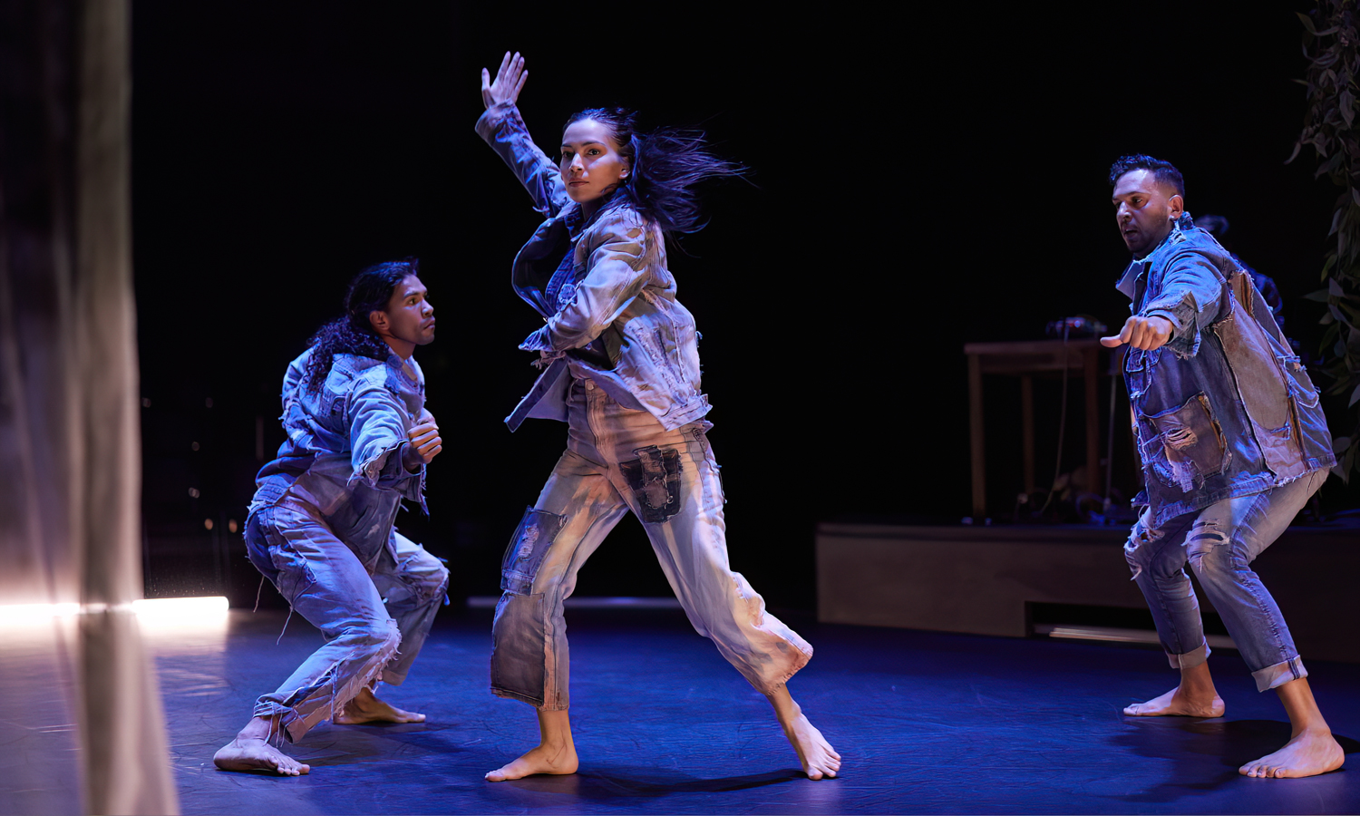 Thumbnail for Adelaide Festival review: Tracker