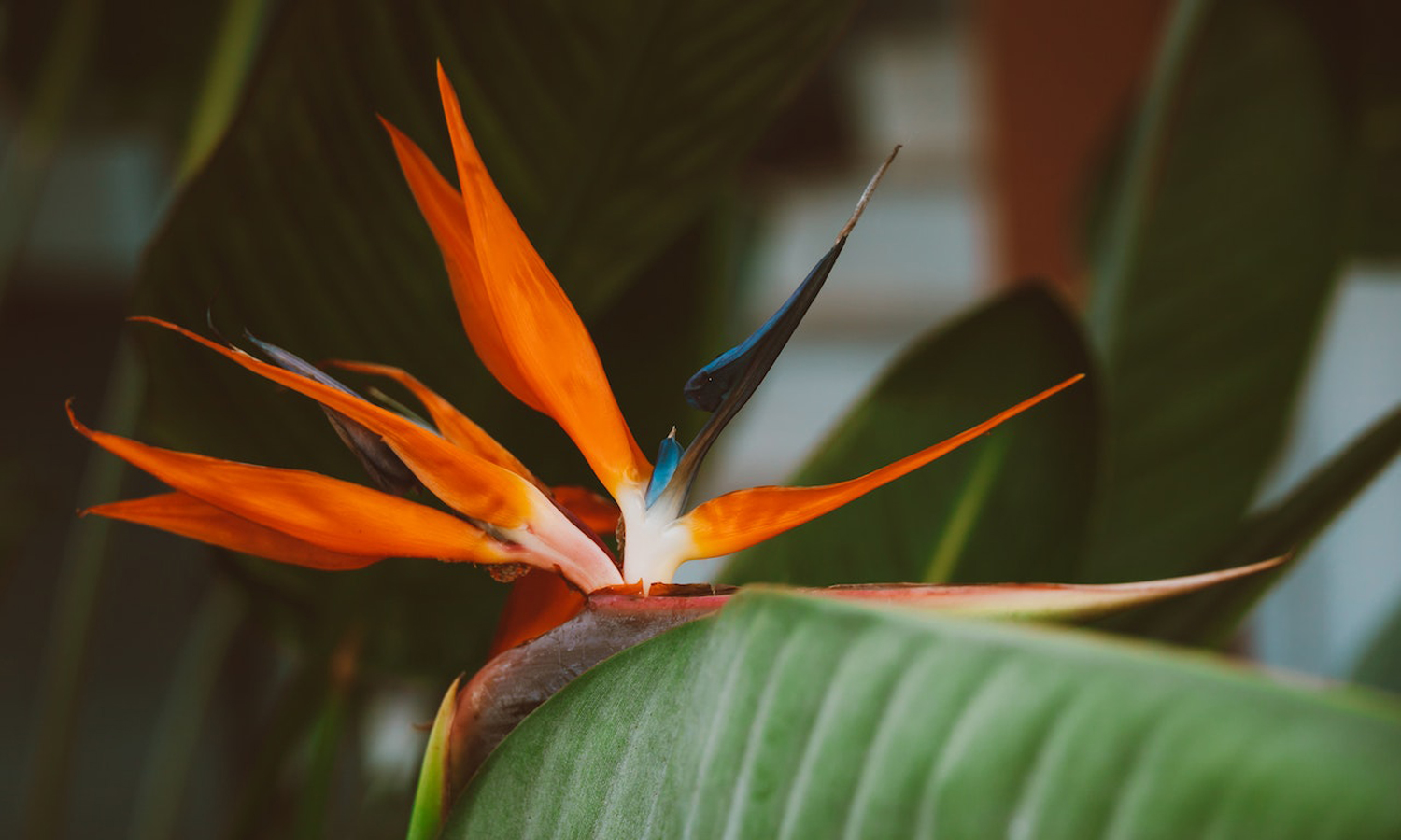 Photo: 
Julia Malushko / Pexels