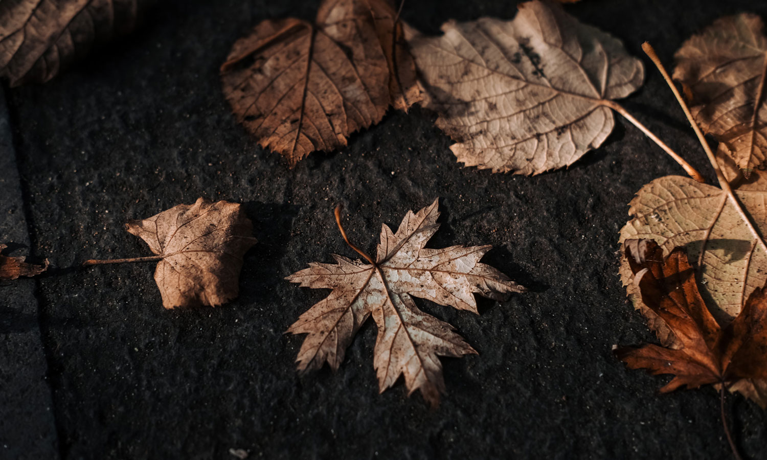 Photo: Bilakis / Pexels