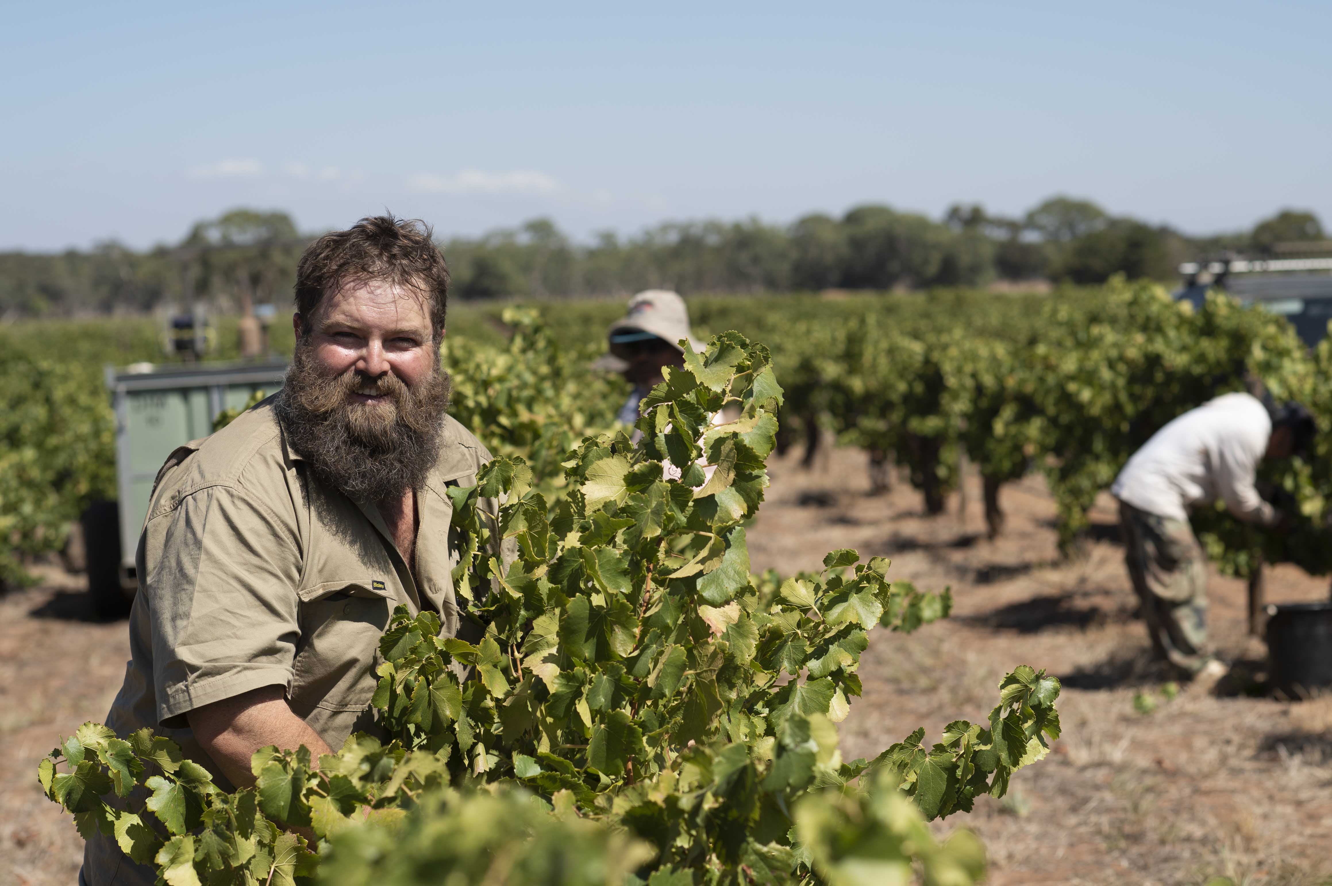 Thumbnail for Wine reviews: The Barossa’s secret powerhouse