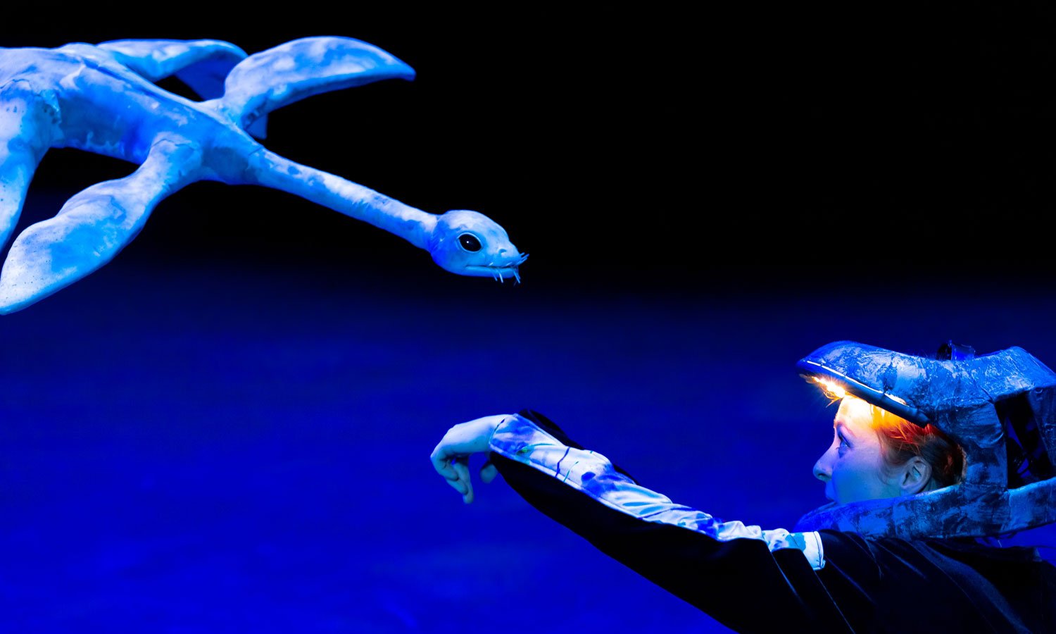 Underwater creatures swim through the air in 'Erth’s Prehistoric World'. Photo: Atmosphere Photography / supplied