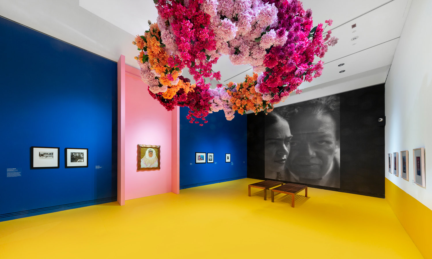 An installation view of 'Frida & Diego: Love & Revolution' at the Art Gallery of South Australia. Photo: Saul Steed / supplied