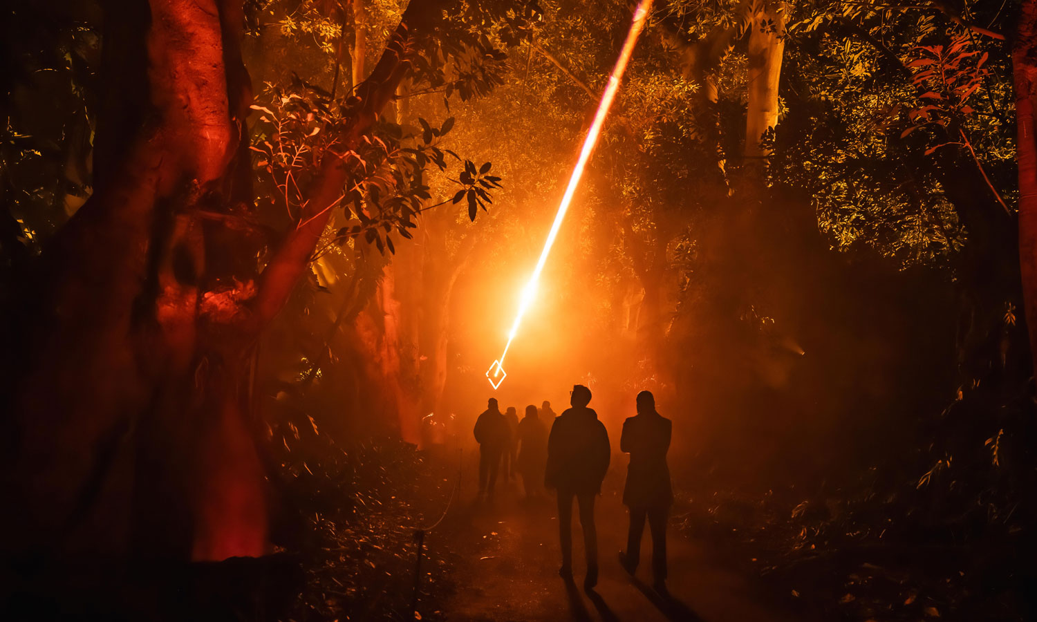 Adelaide Botanic Garden's Moreton Bay figs are transformed by the lights of 'Resonate'. Photo: Tyr Liang – Xplorer Studios
