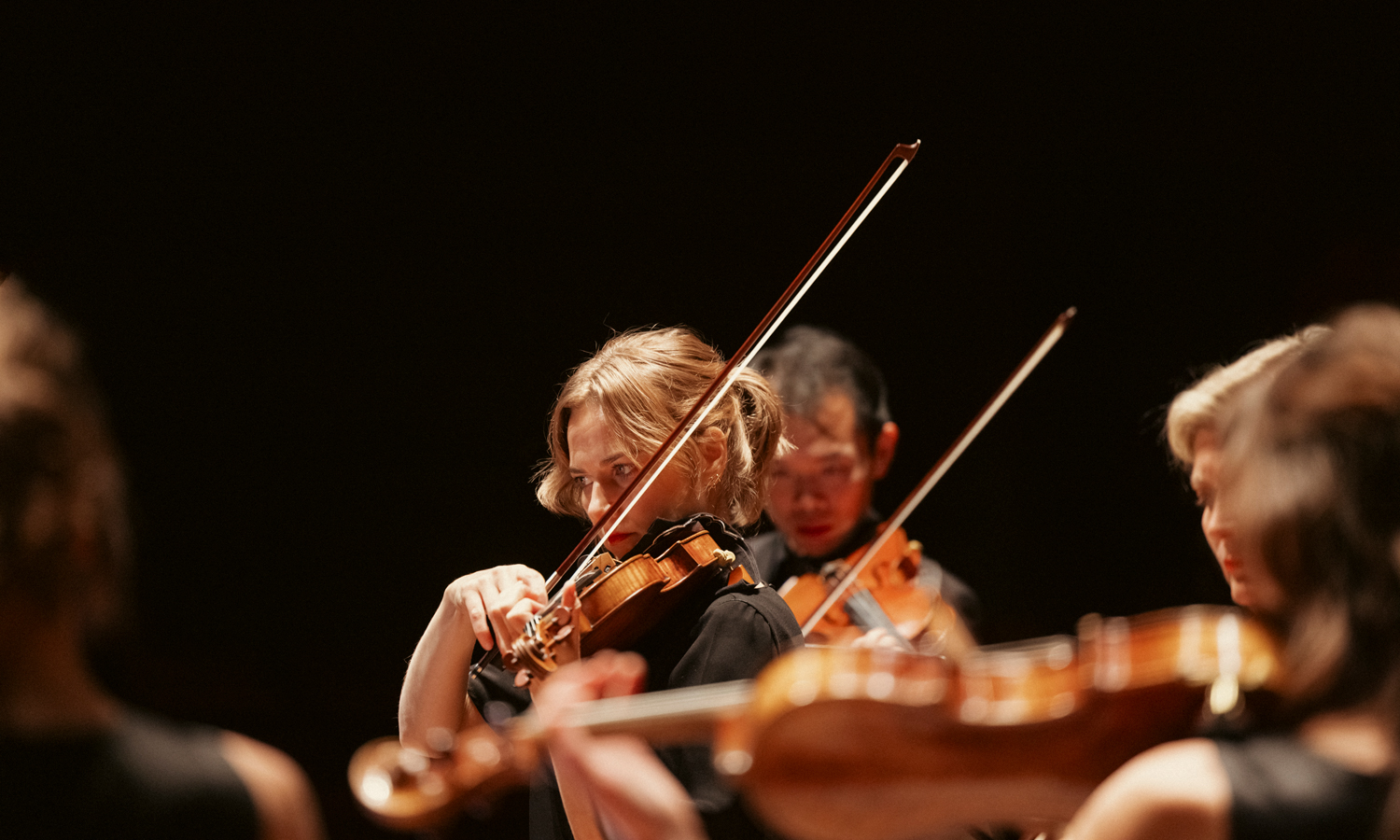 Thumbnail for Music review: Dvořák’s Serenade